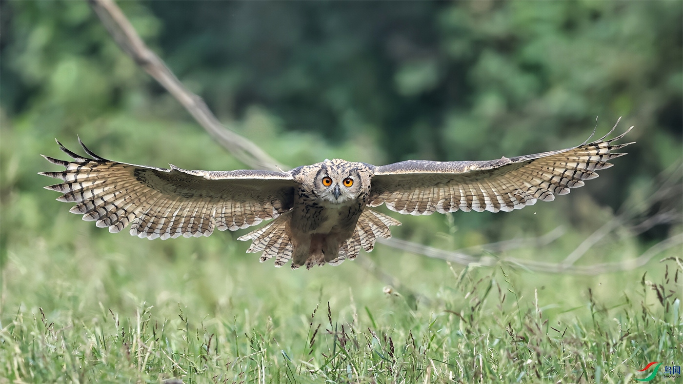 ΢��ͼƬ_20250808091849.jpg