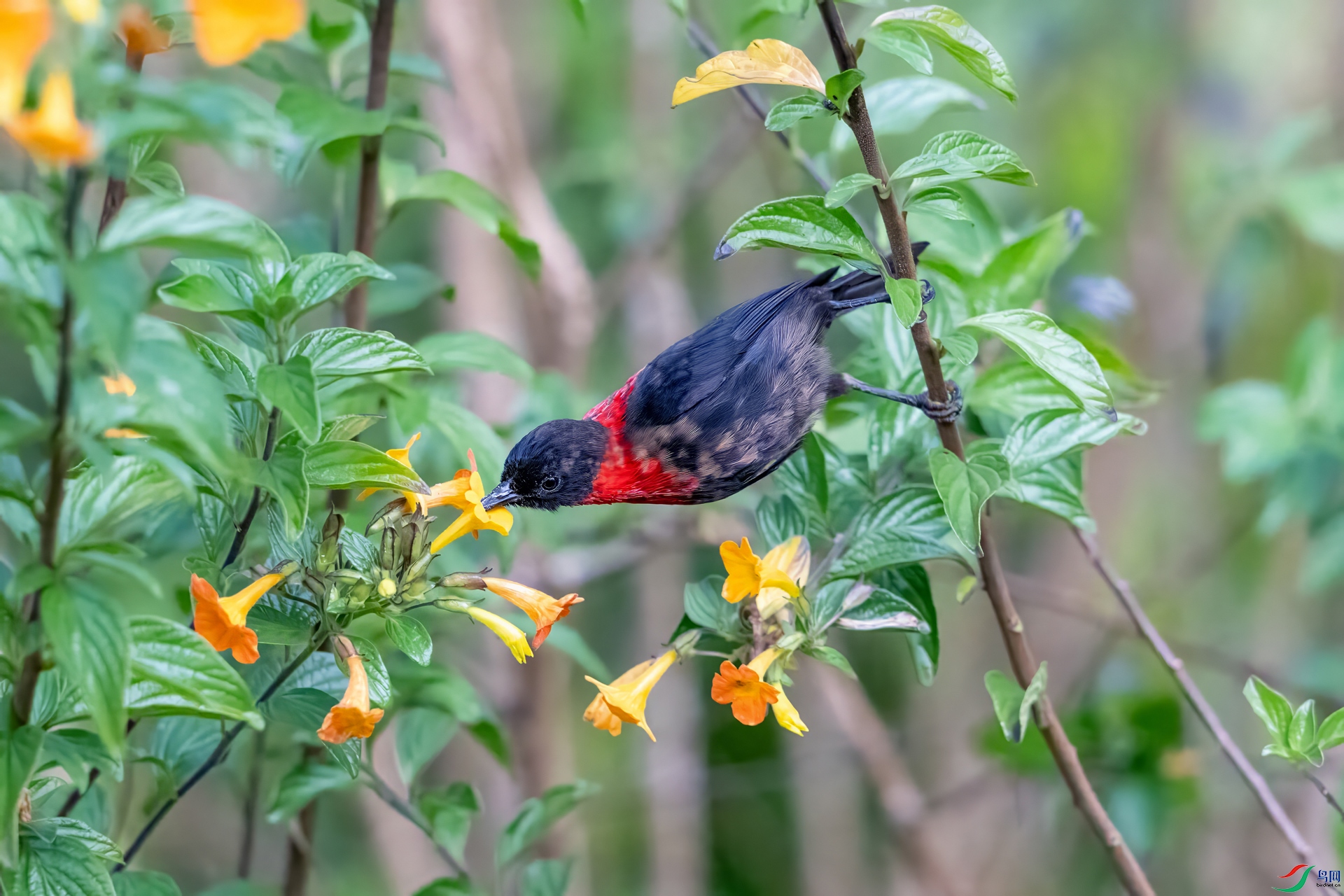 DSC_9171.jpg