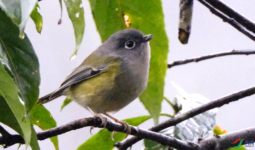 DSCF5885_����.jpg