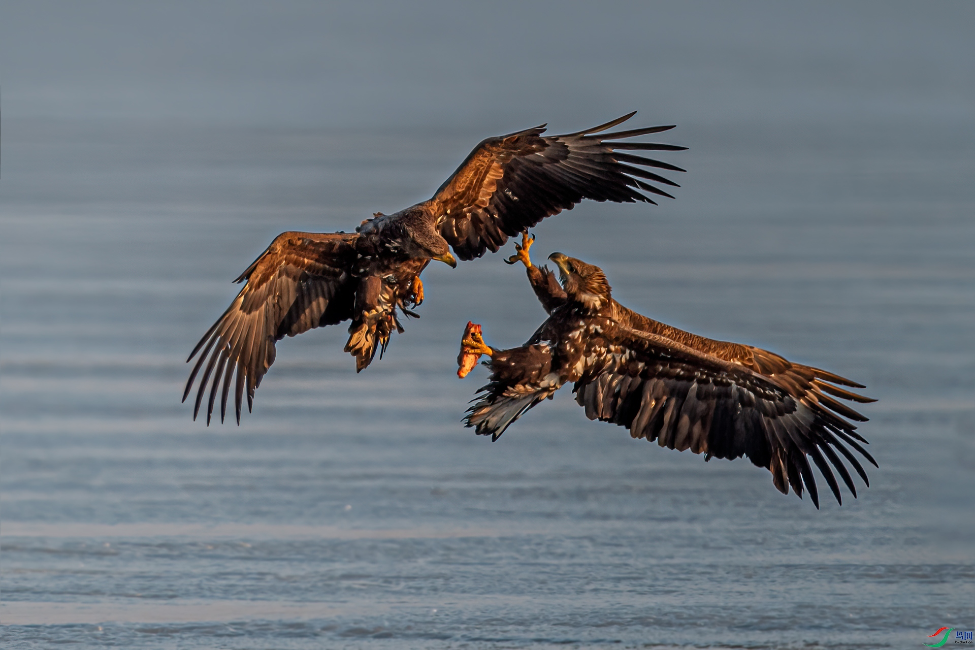 DSC_9044-11.jpg