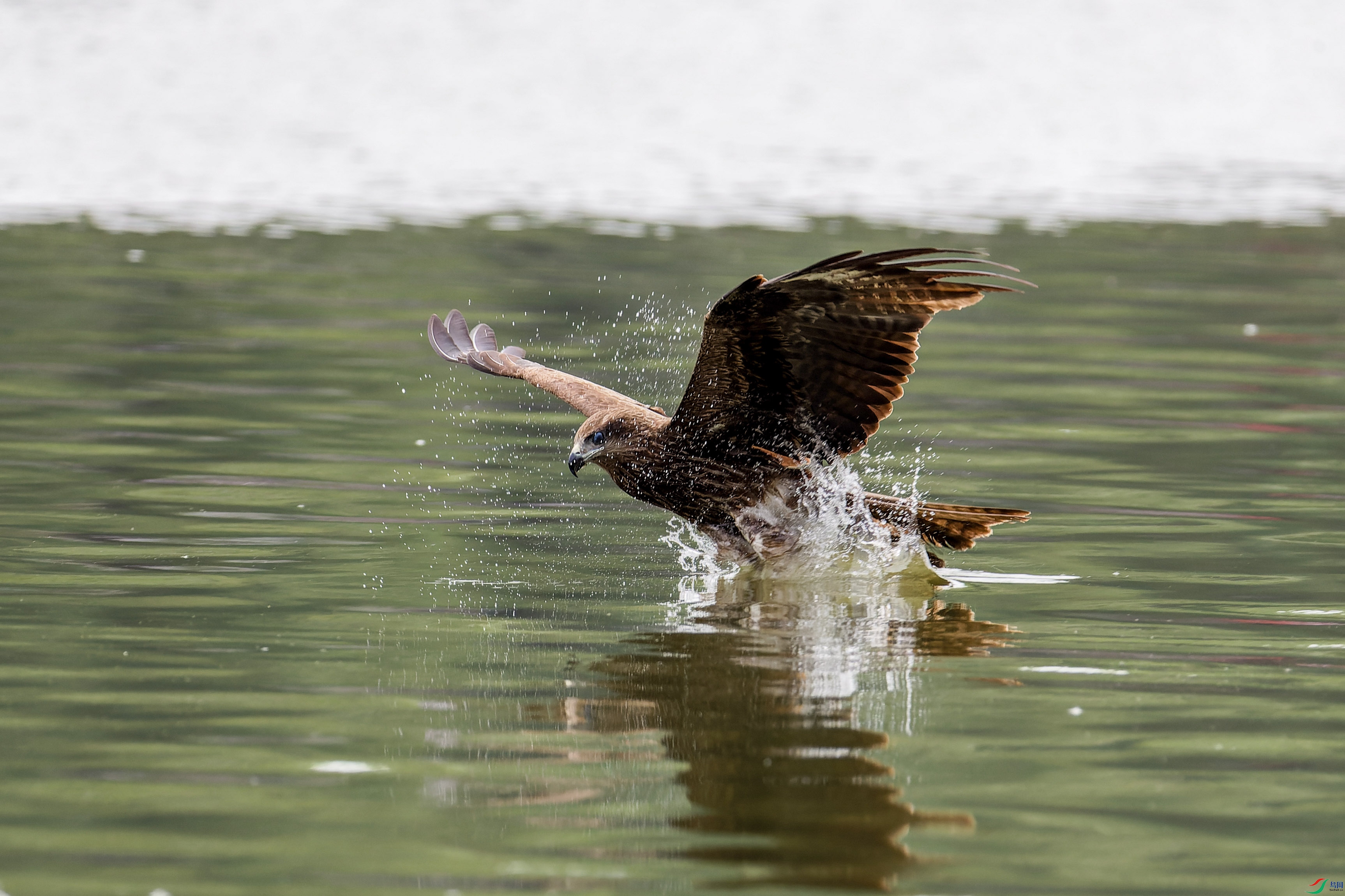 2X2_3583-CR2_DxO_DeepPRIME-1.jpg