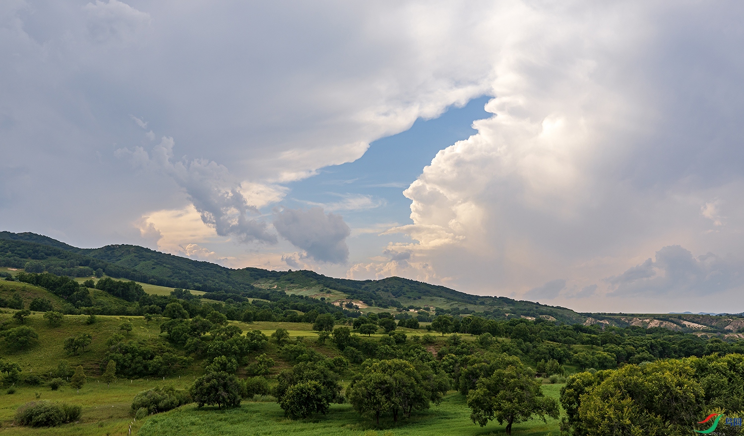 _4LM3605 ����a.jpg
