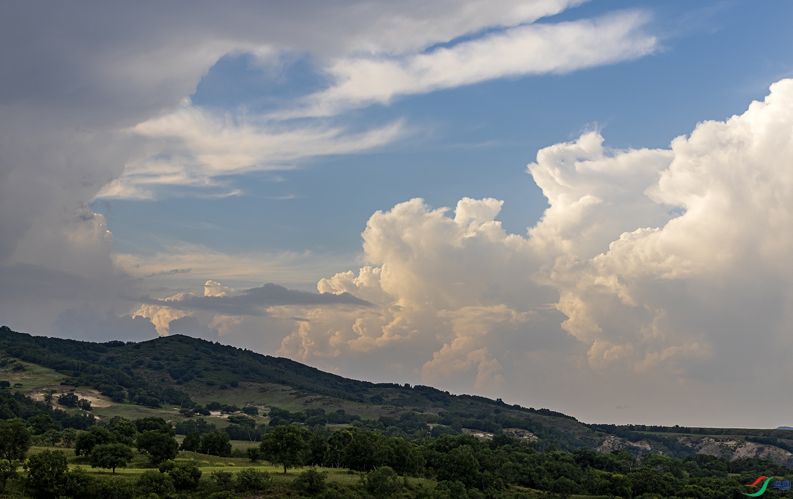 _5LM7853 ����a.jpg