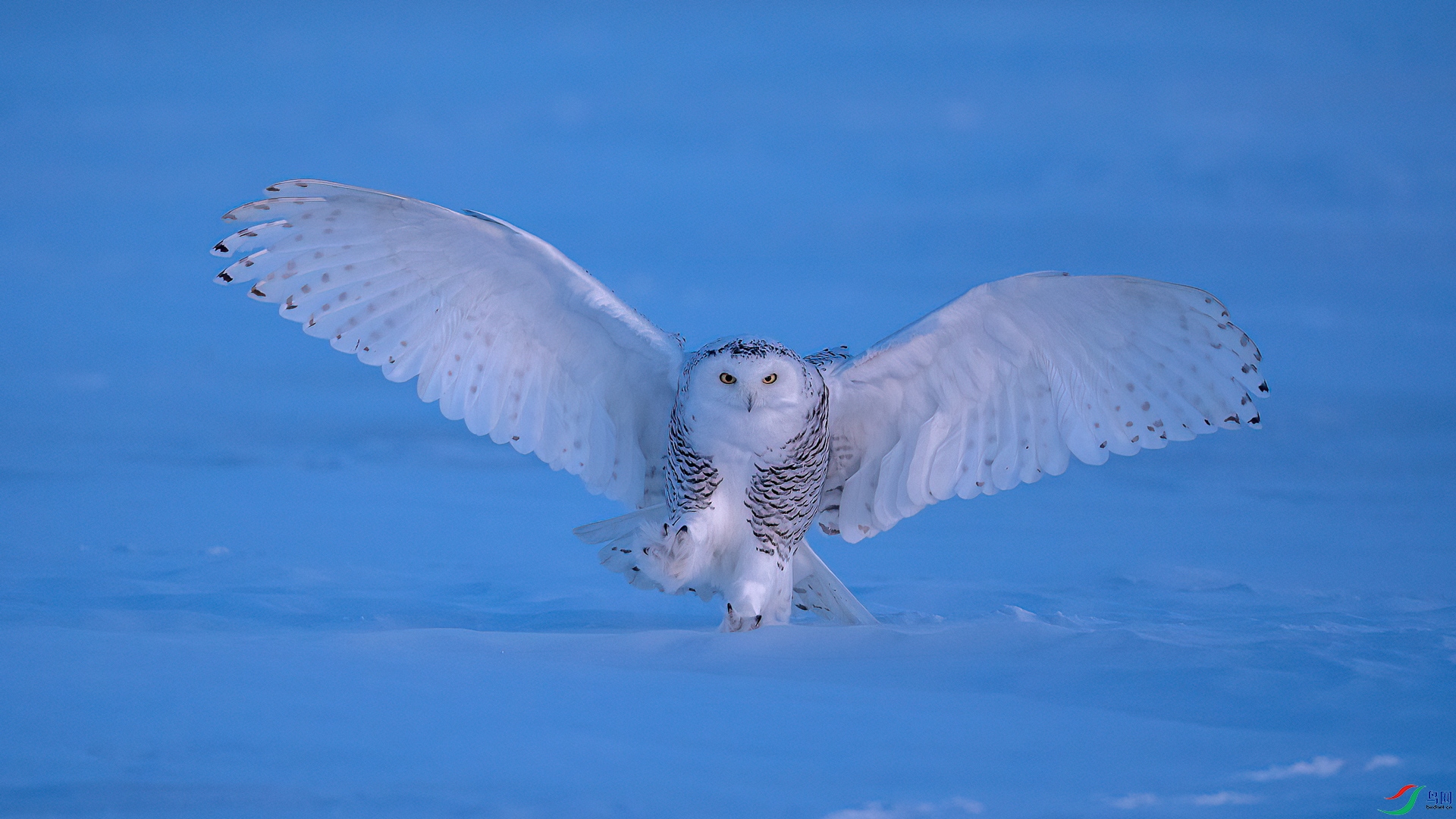 DSC09059b.jpg
