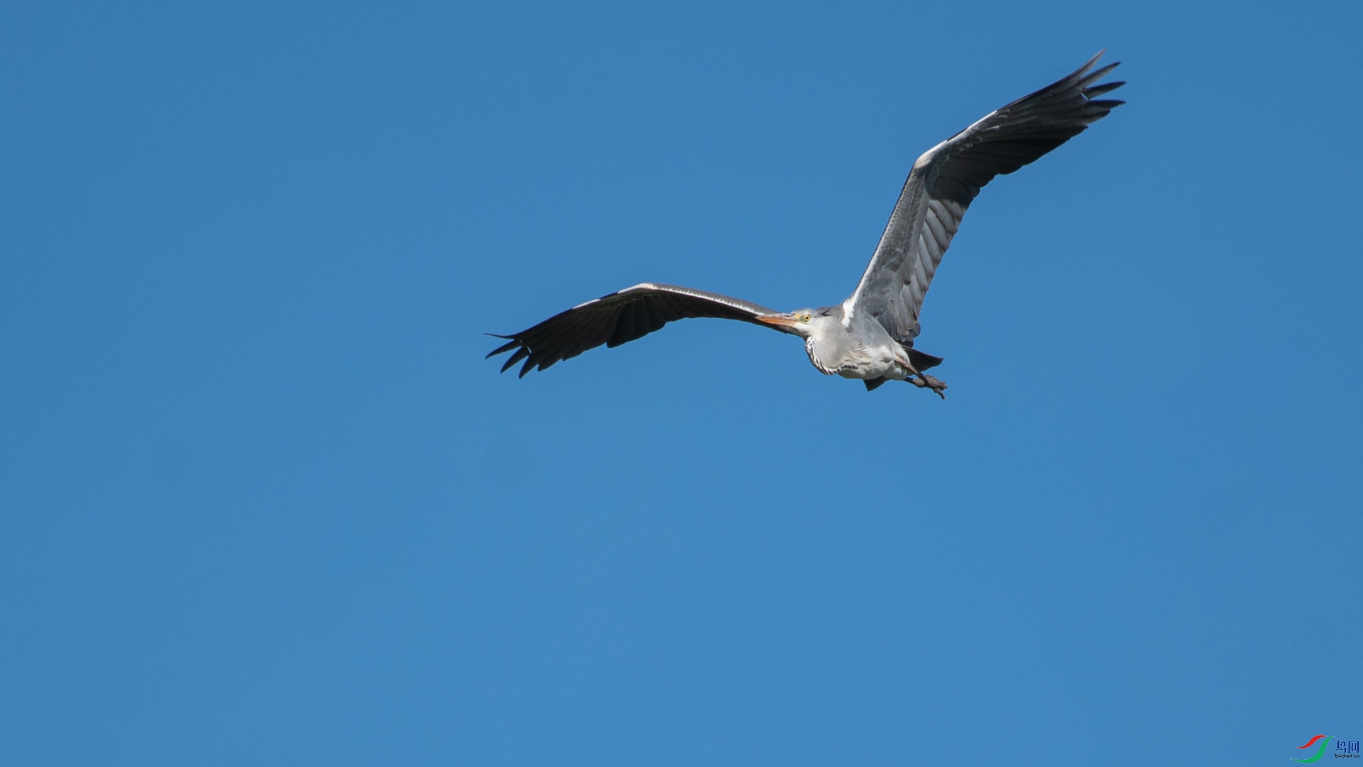 _DSC6202.jpg
