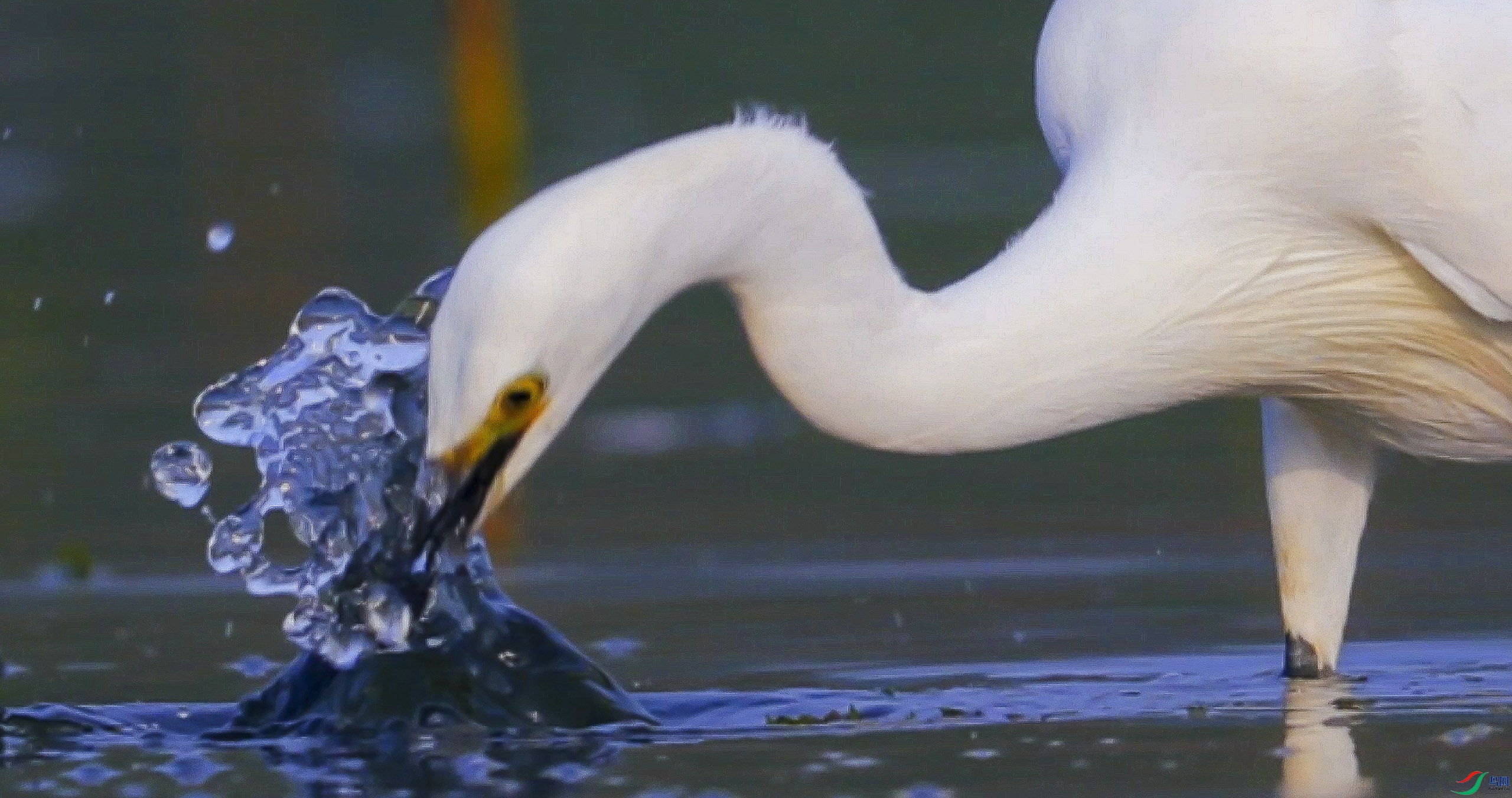 8��12�� (2)-2560.jpg