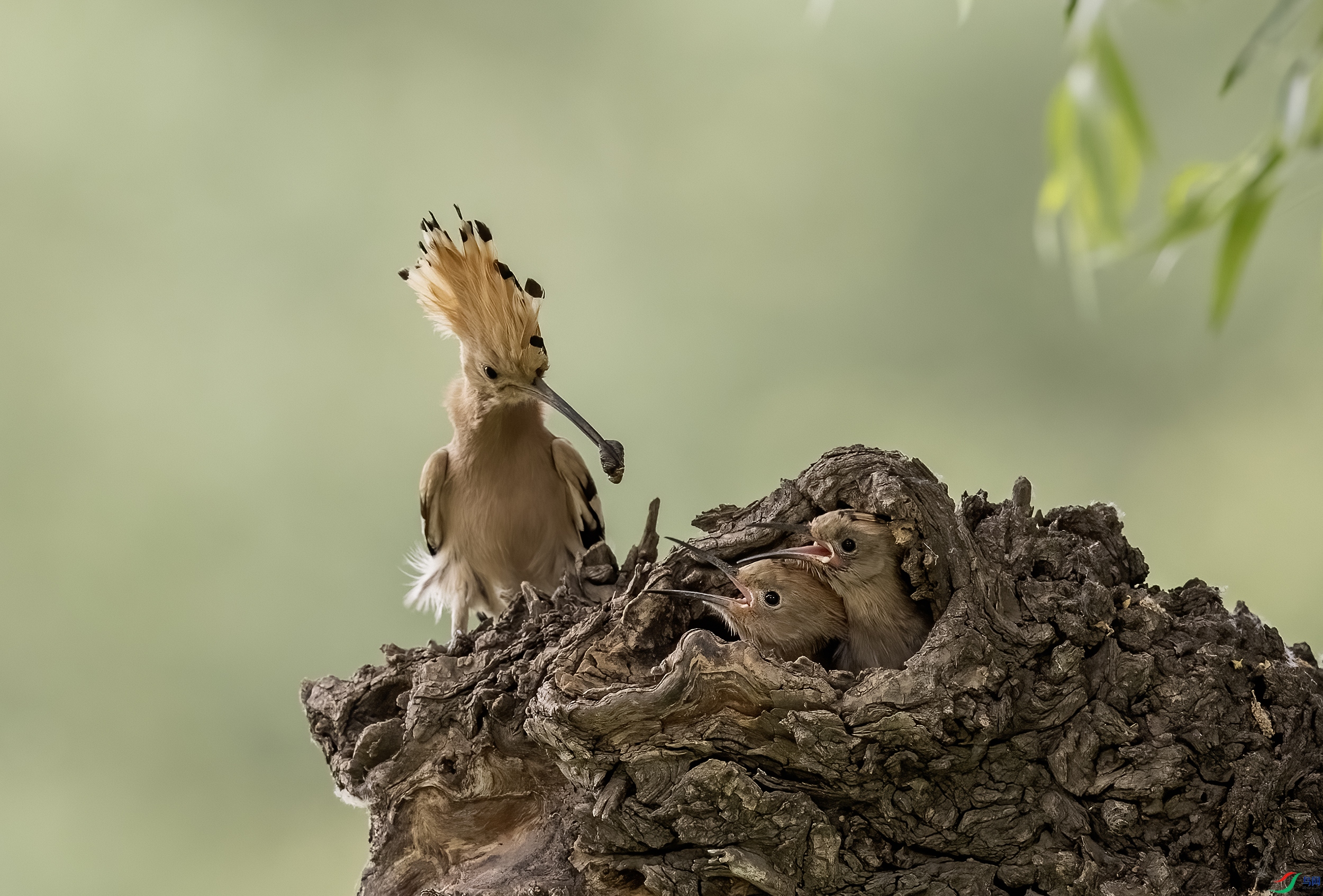 AC3I0215 ����.jpg