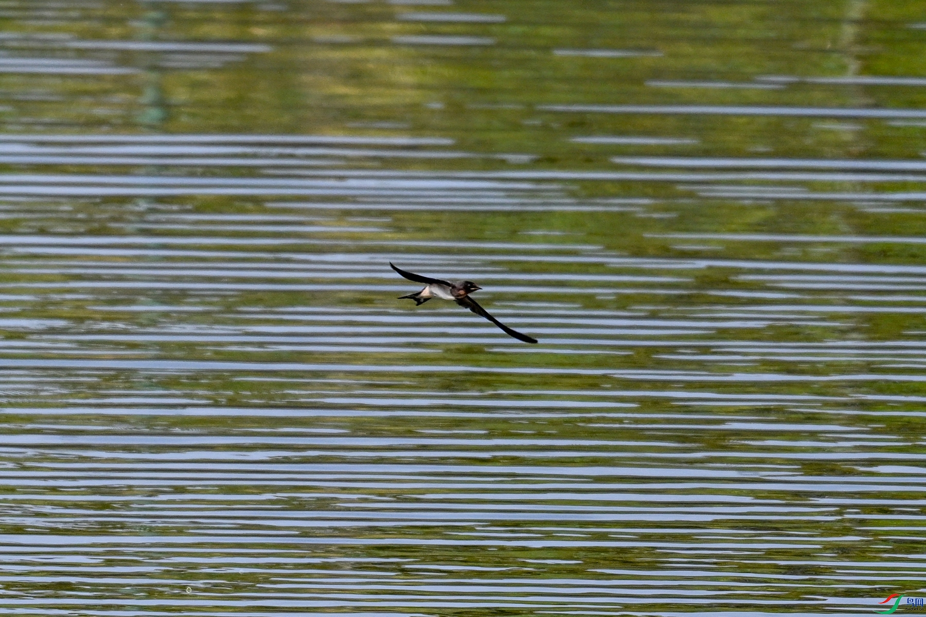 DSC_4504.JPG