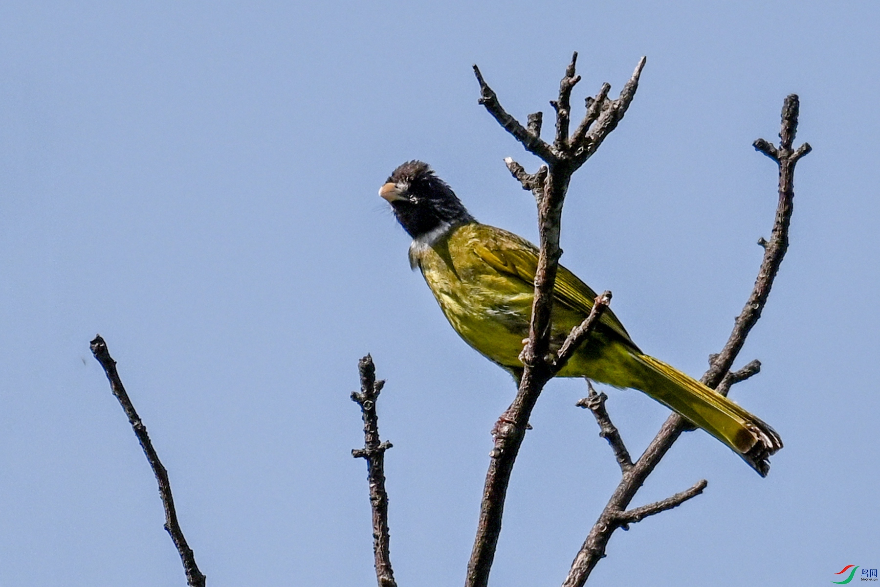 DSC_4538.JPG