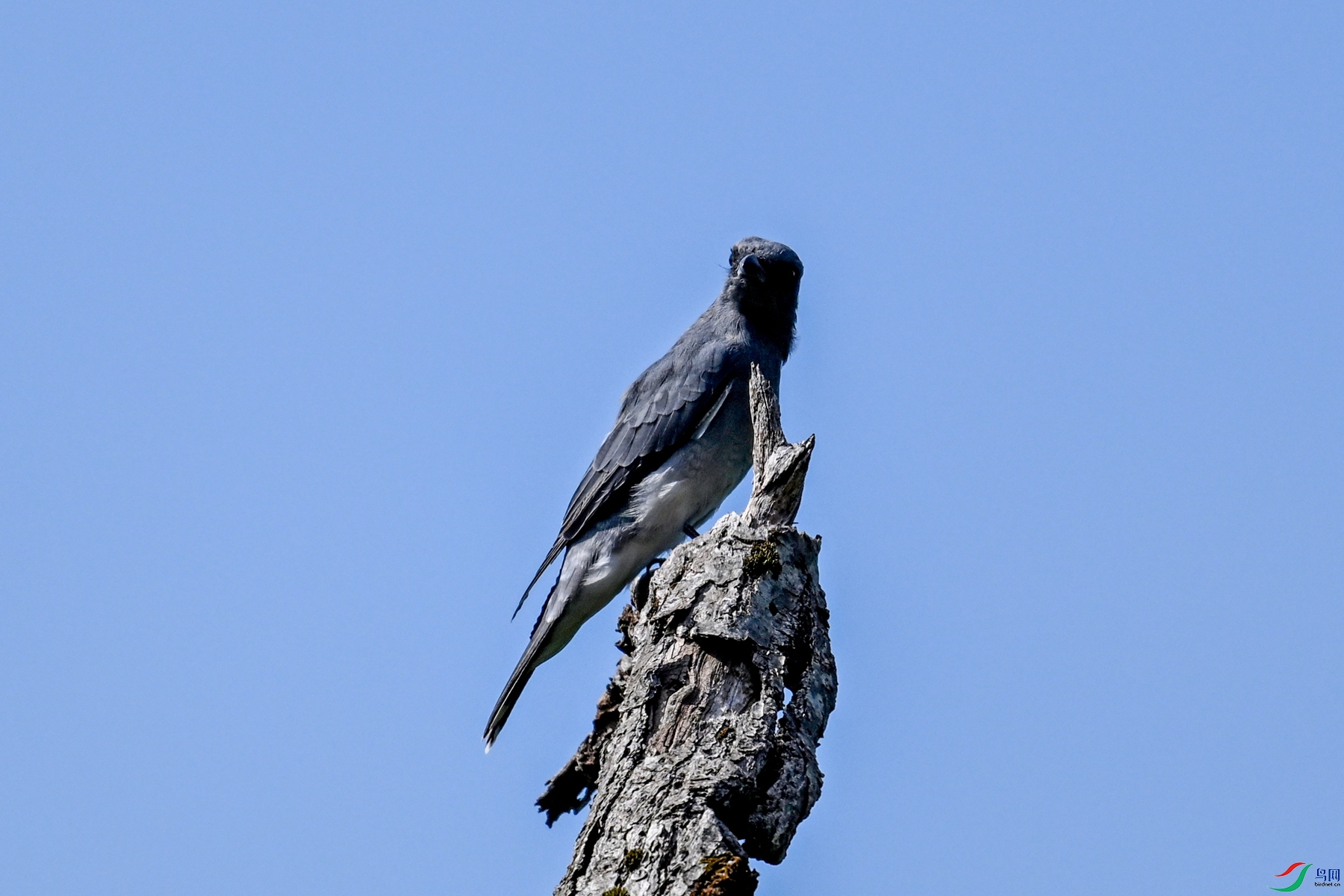 DSC_4546.JPG