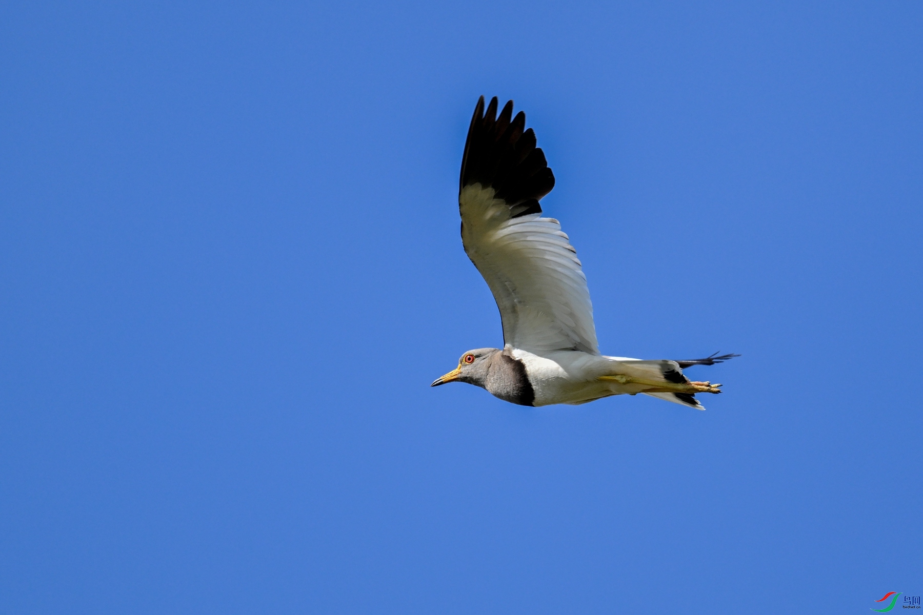 DSC_5201.JPG