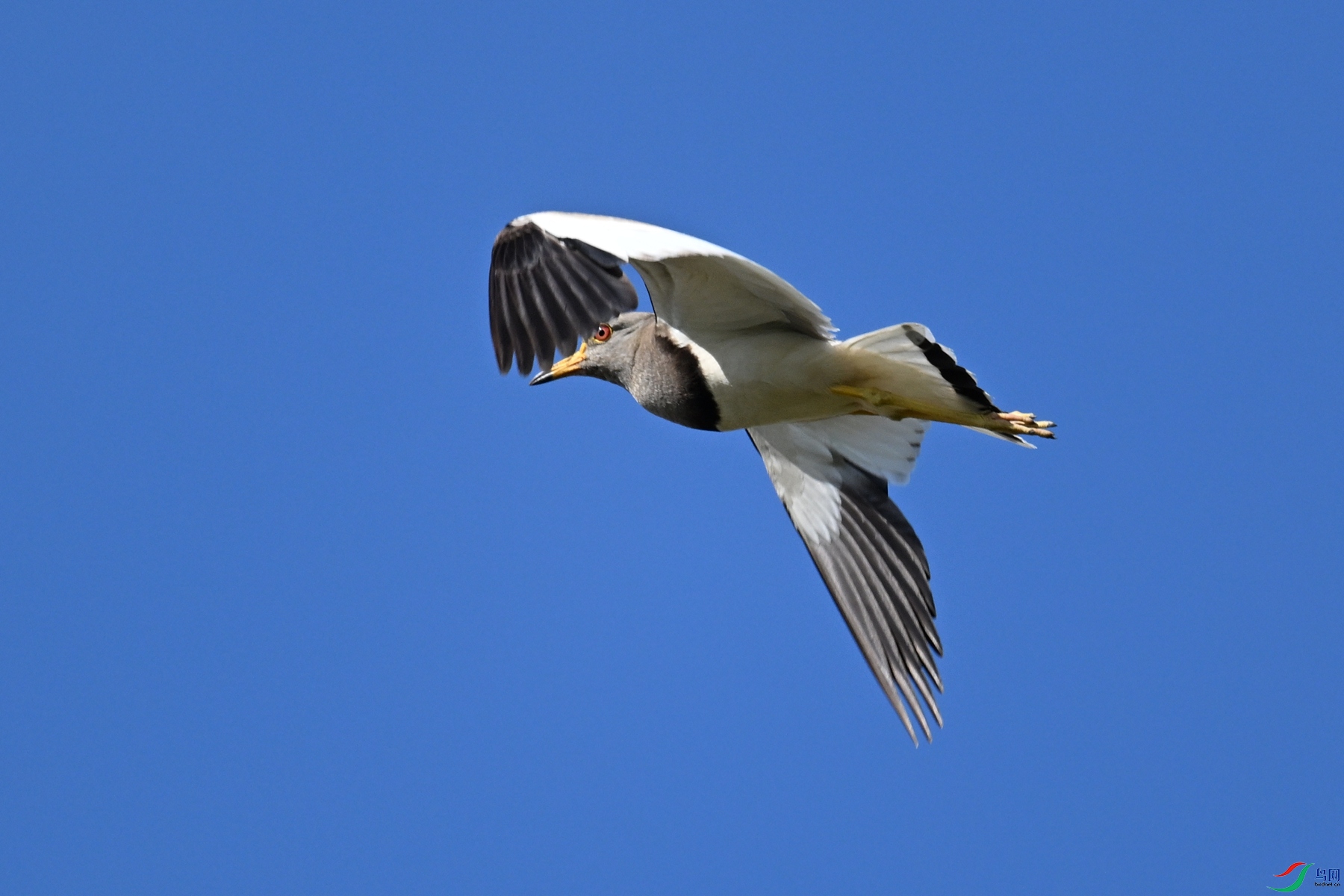 DSC_5203.JPG