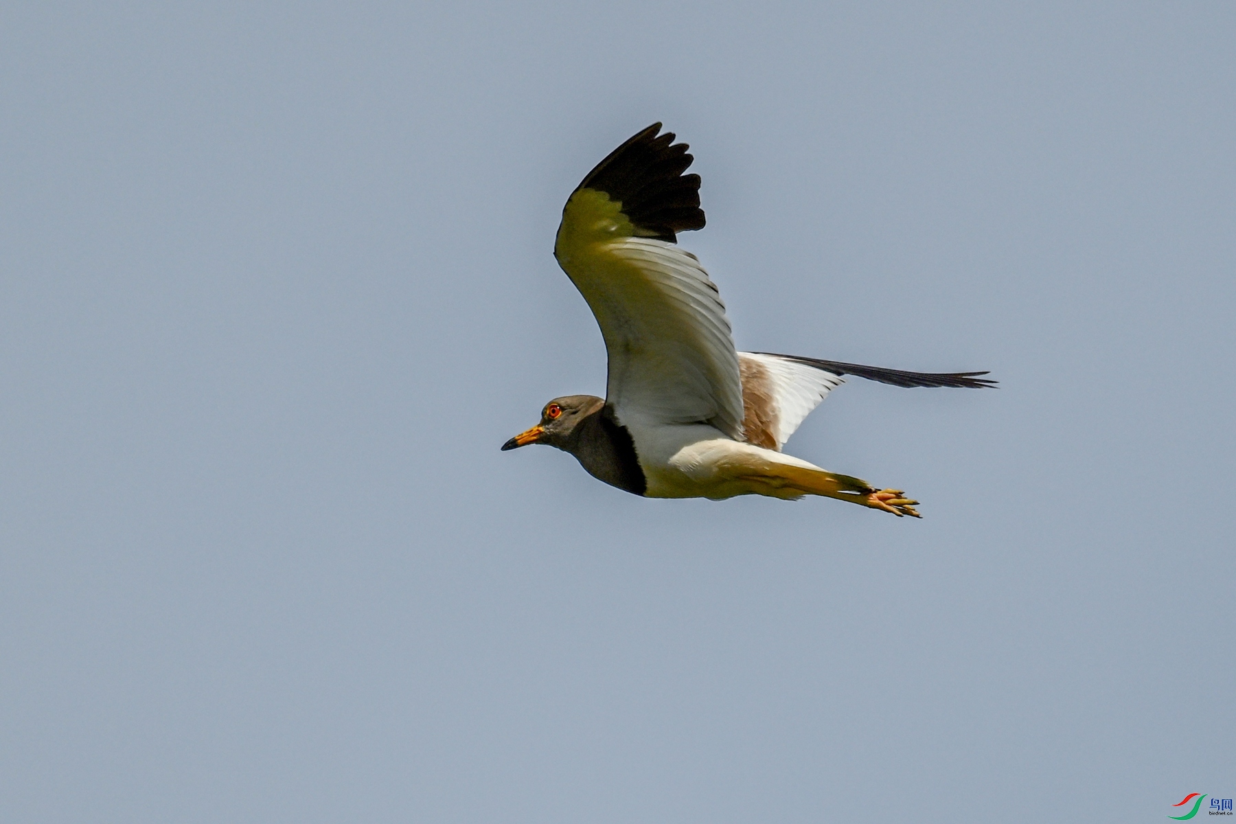 DSC_5245.JPG