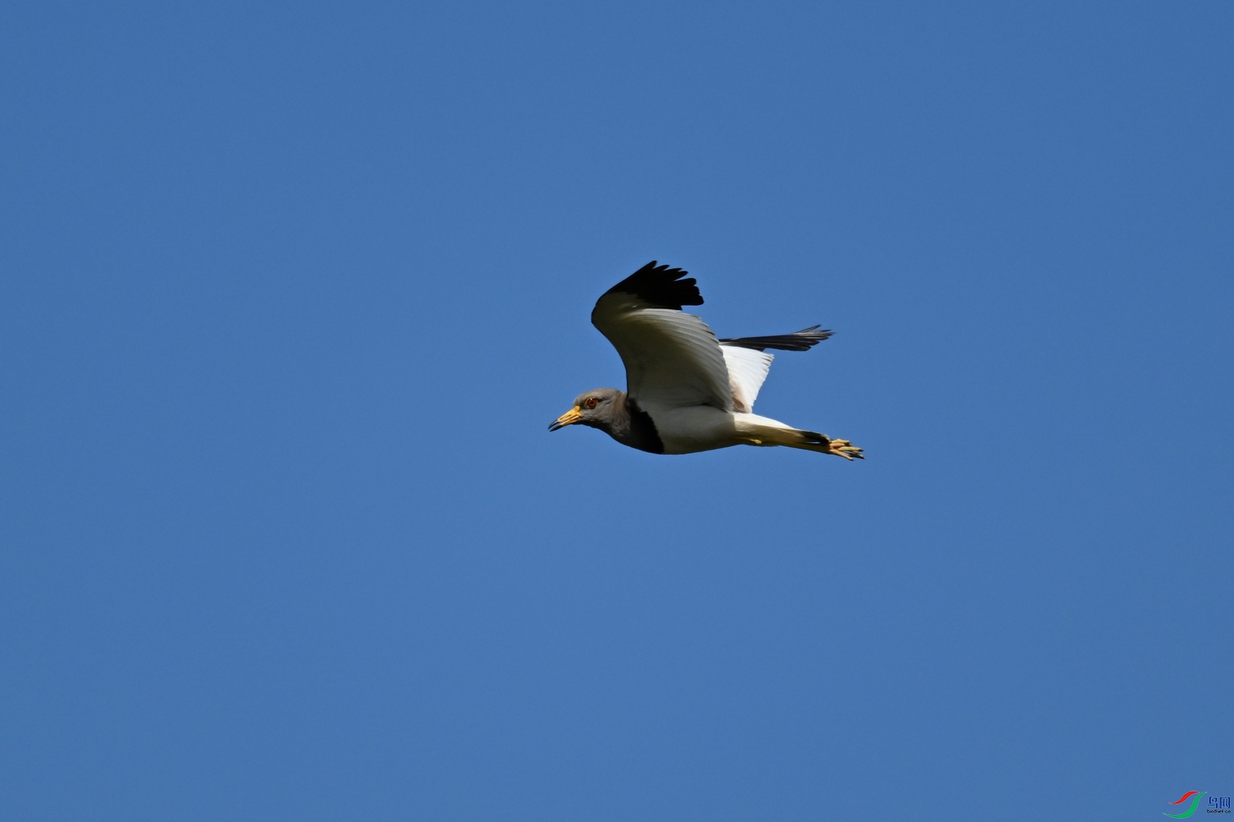 DSC_5249.JPG