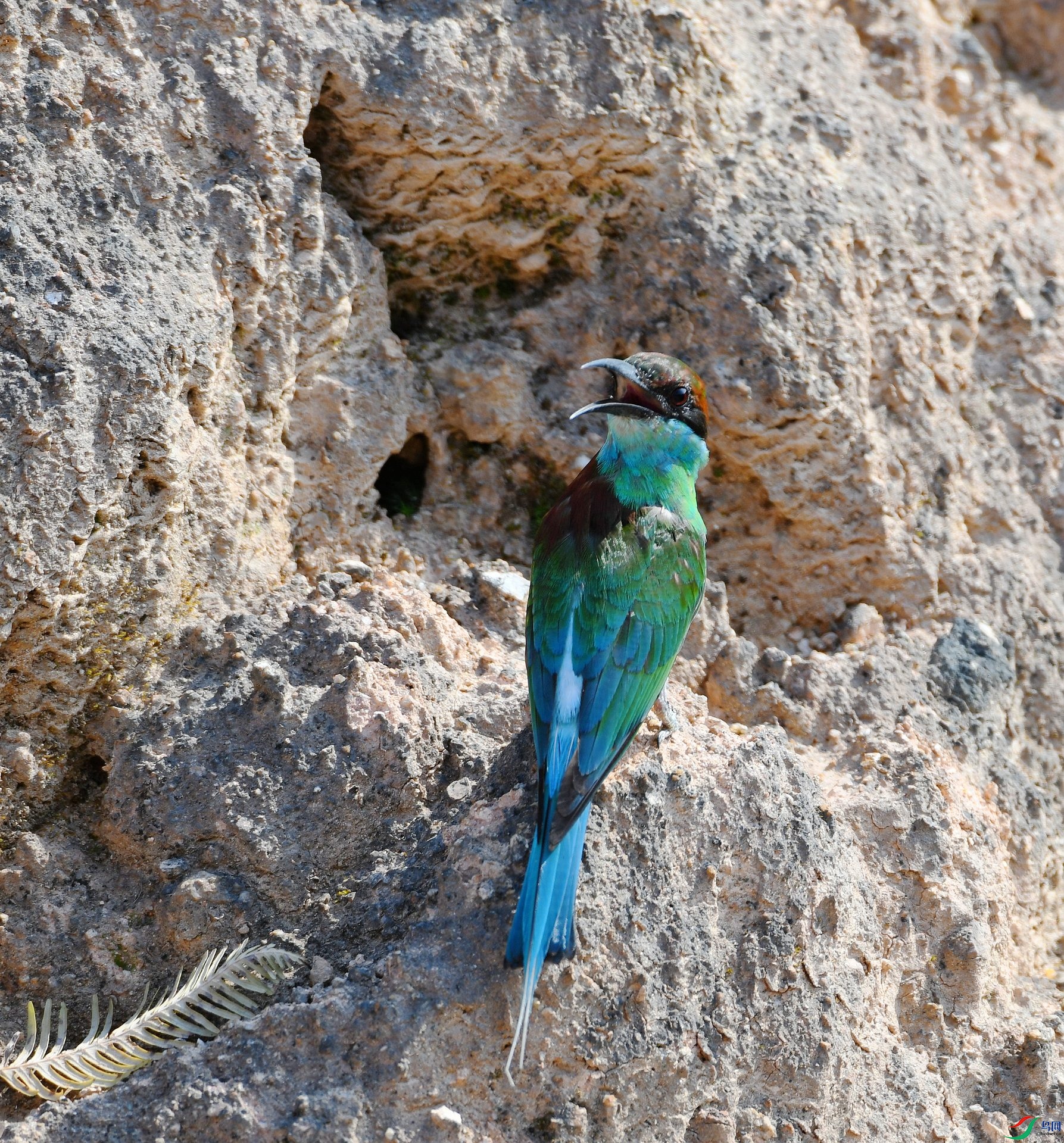 DSC_6106.jpg