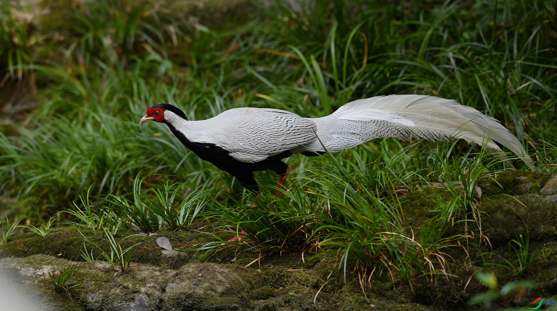 DSC_7705.jpg