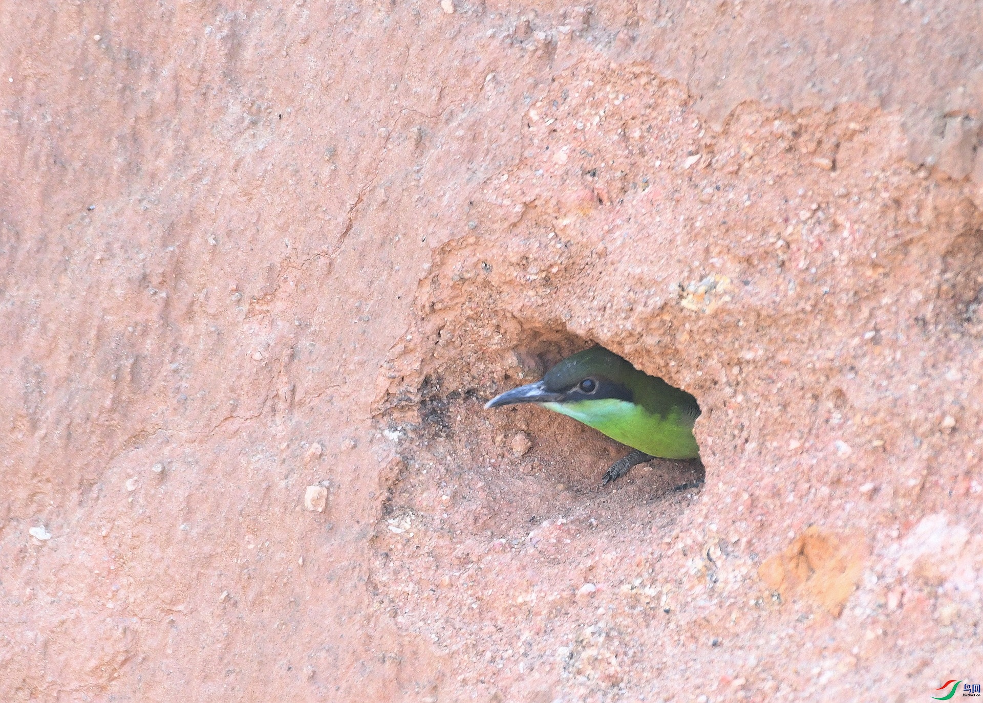 DSC_7711.jpg