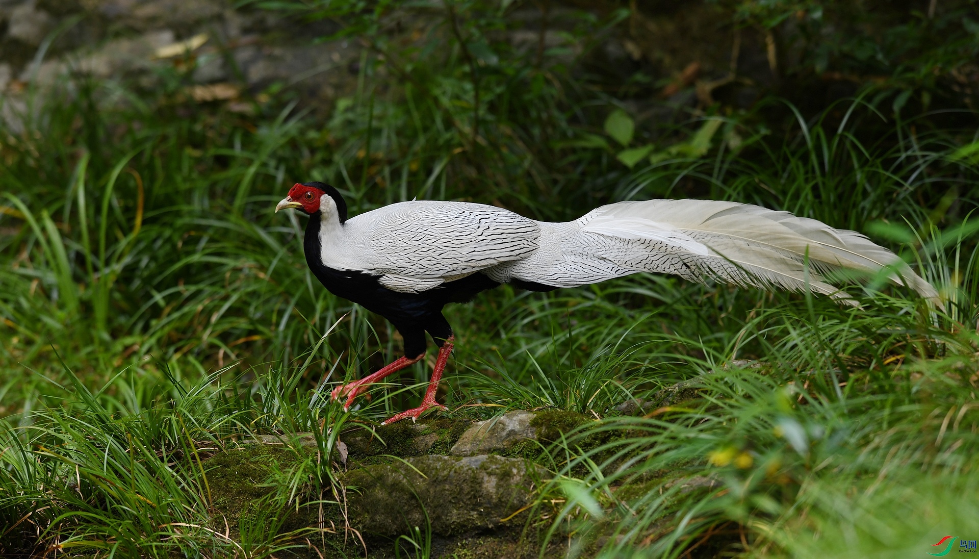 DSC_7703.jpg