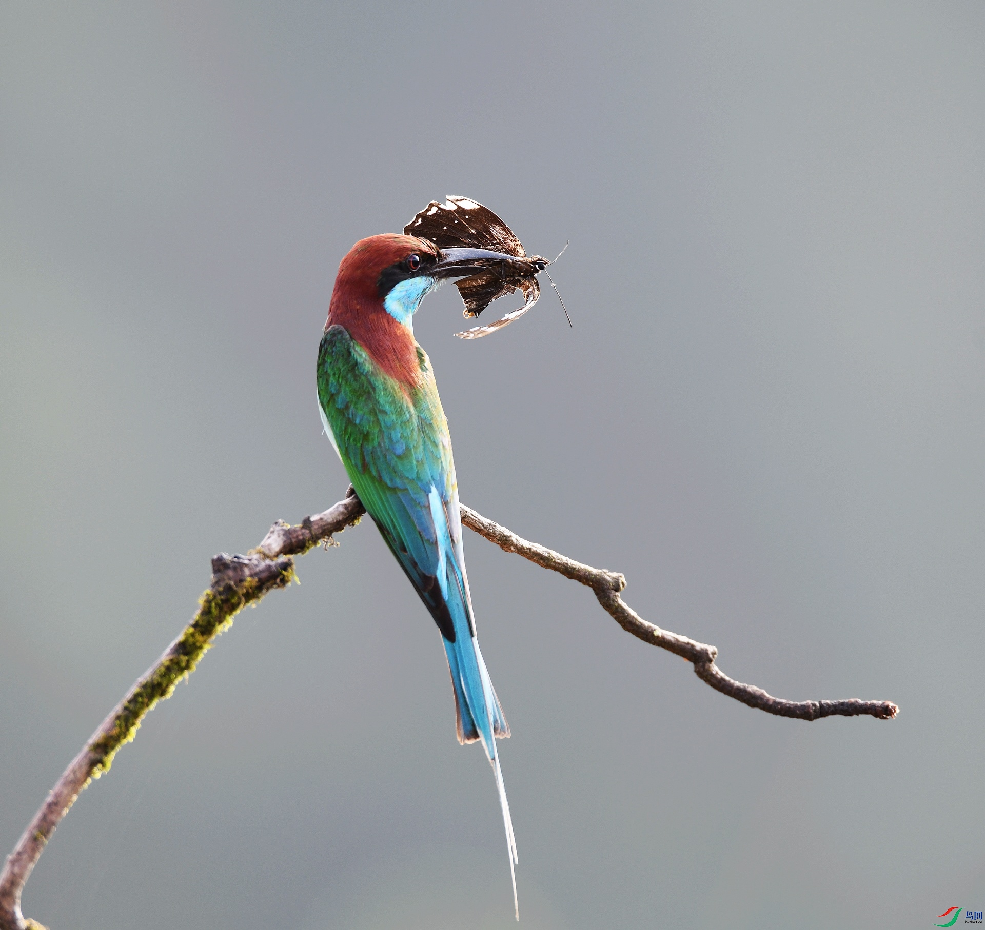 DSC_9605.jpg