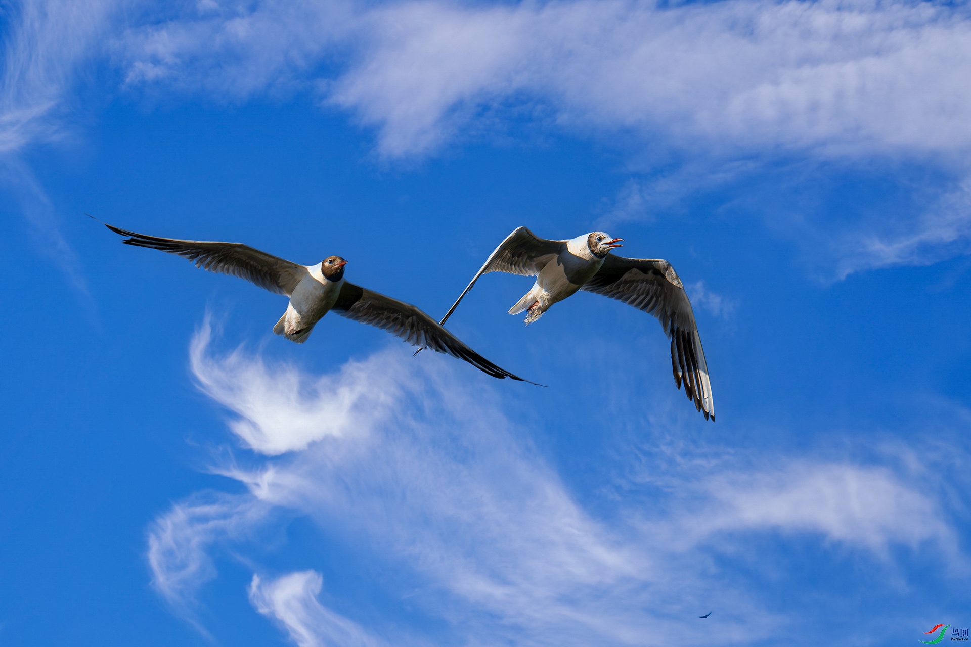 _DSC7564bb1122.jpg