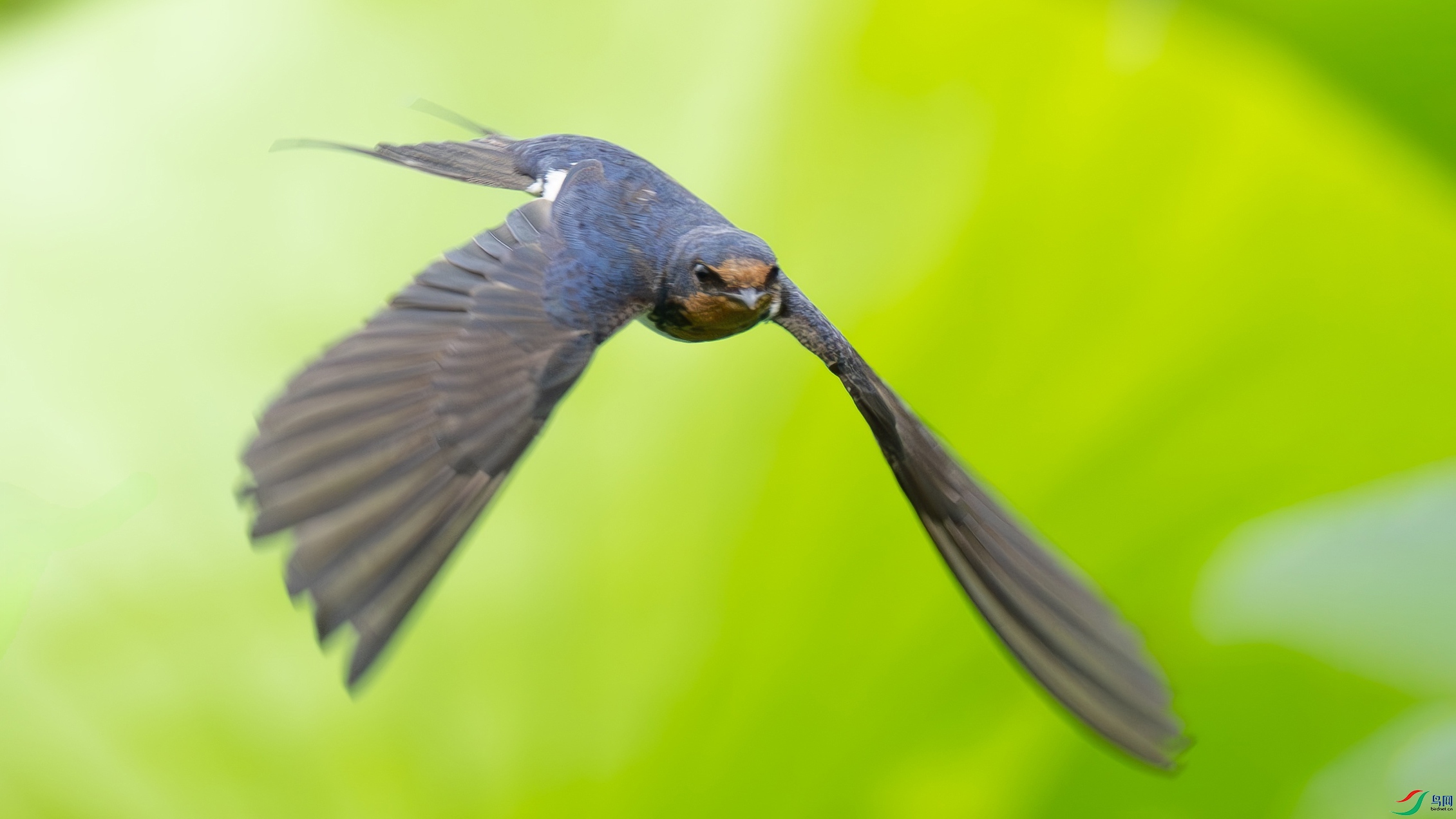 DSC04446- ����.jpg