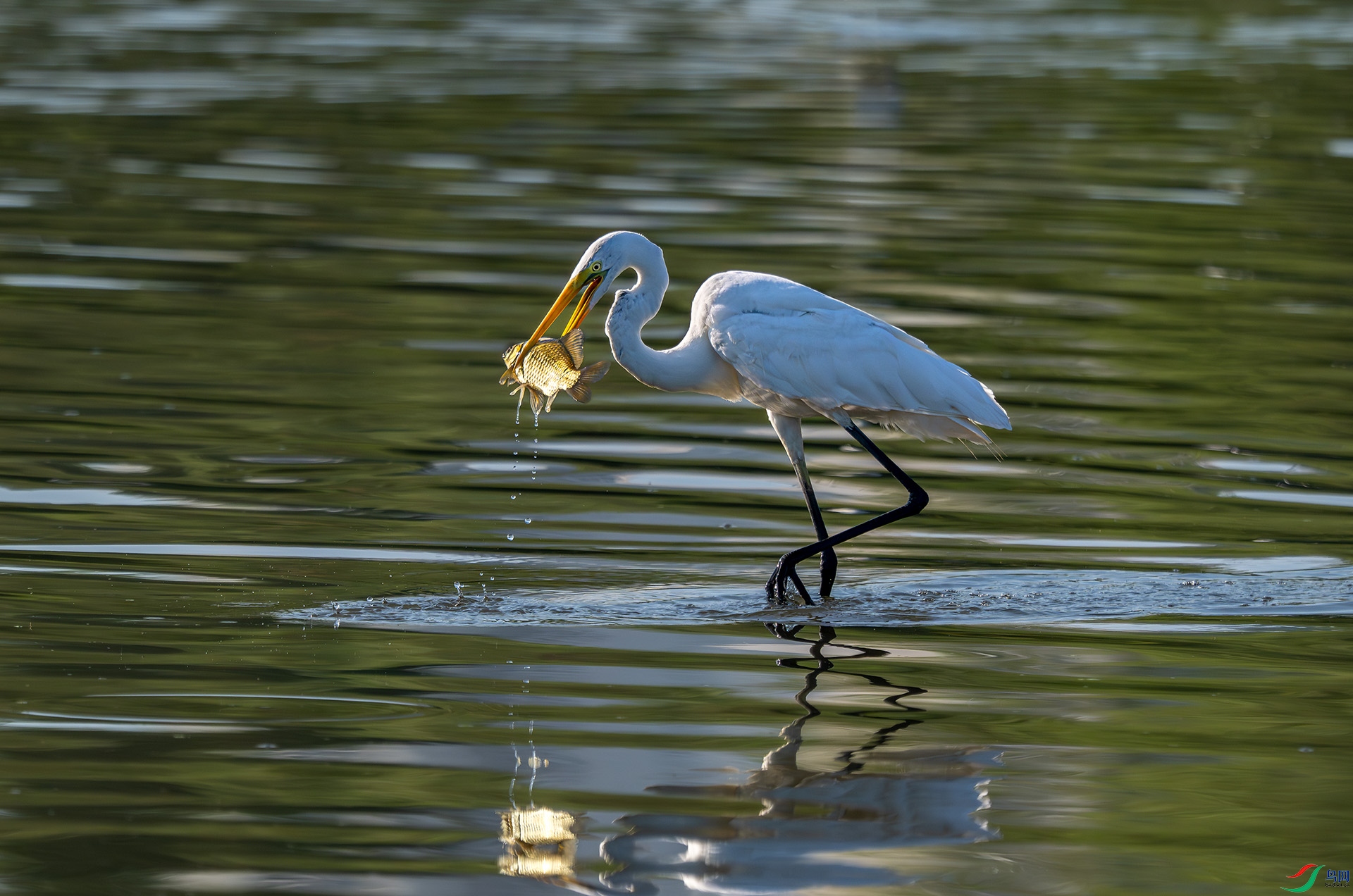 _DSC7894bb22.jpg