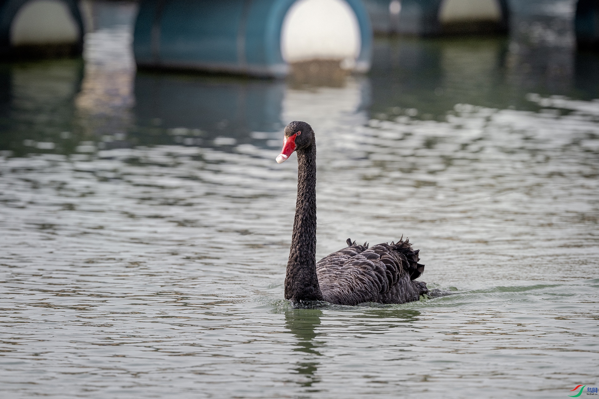 DSC_0651.jpg