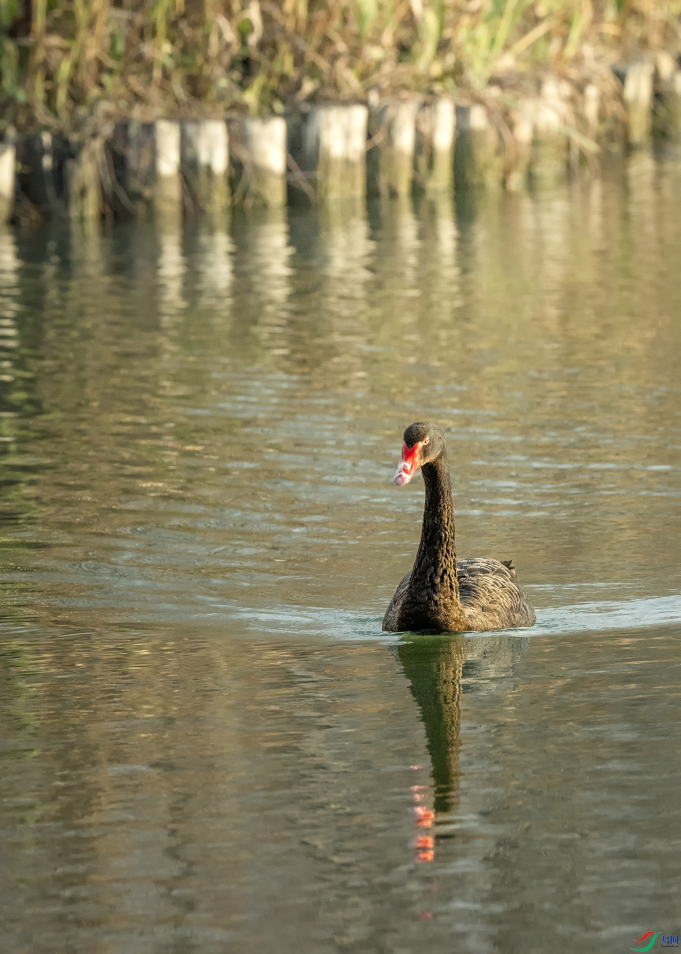 DSC_7681.jpg
