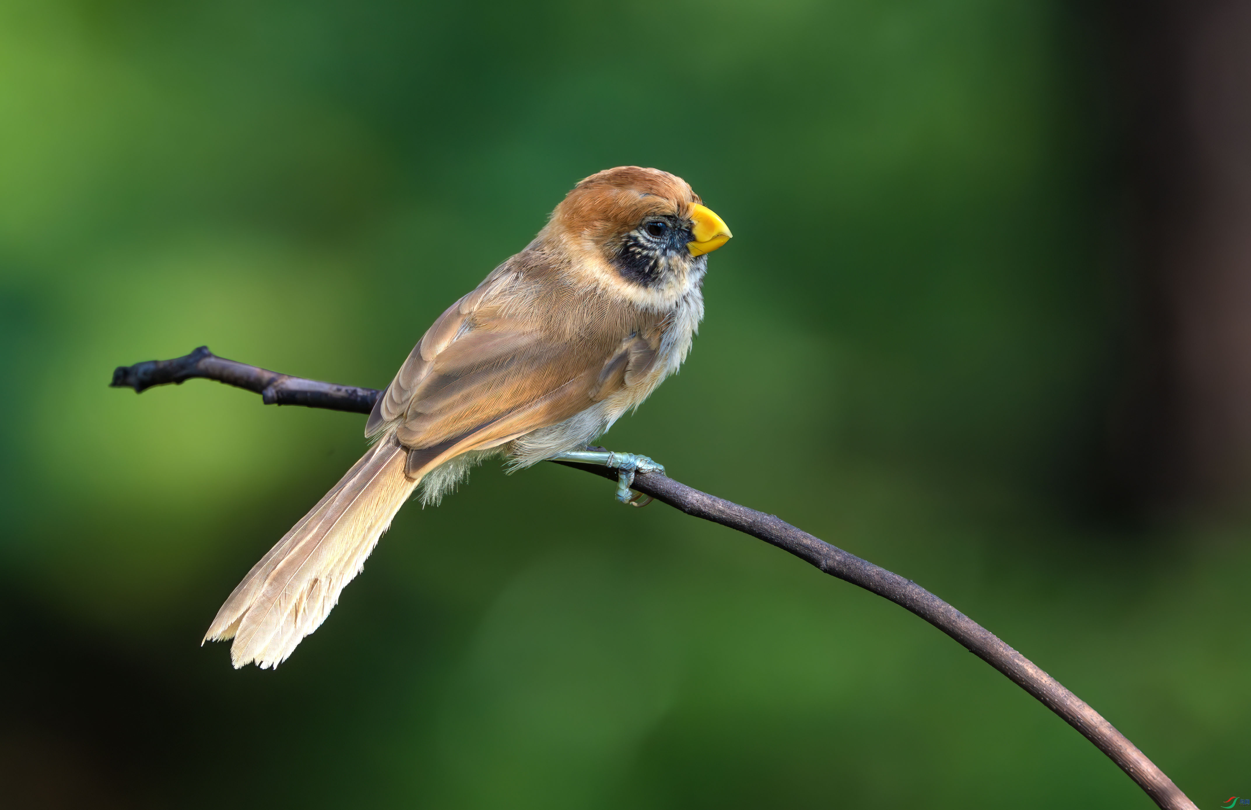 Y25_2232-����ǿ-NR ����.jpg