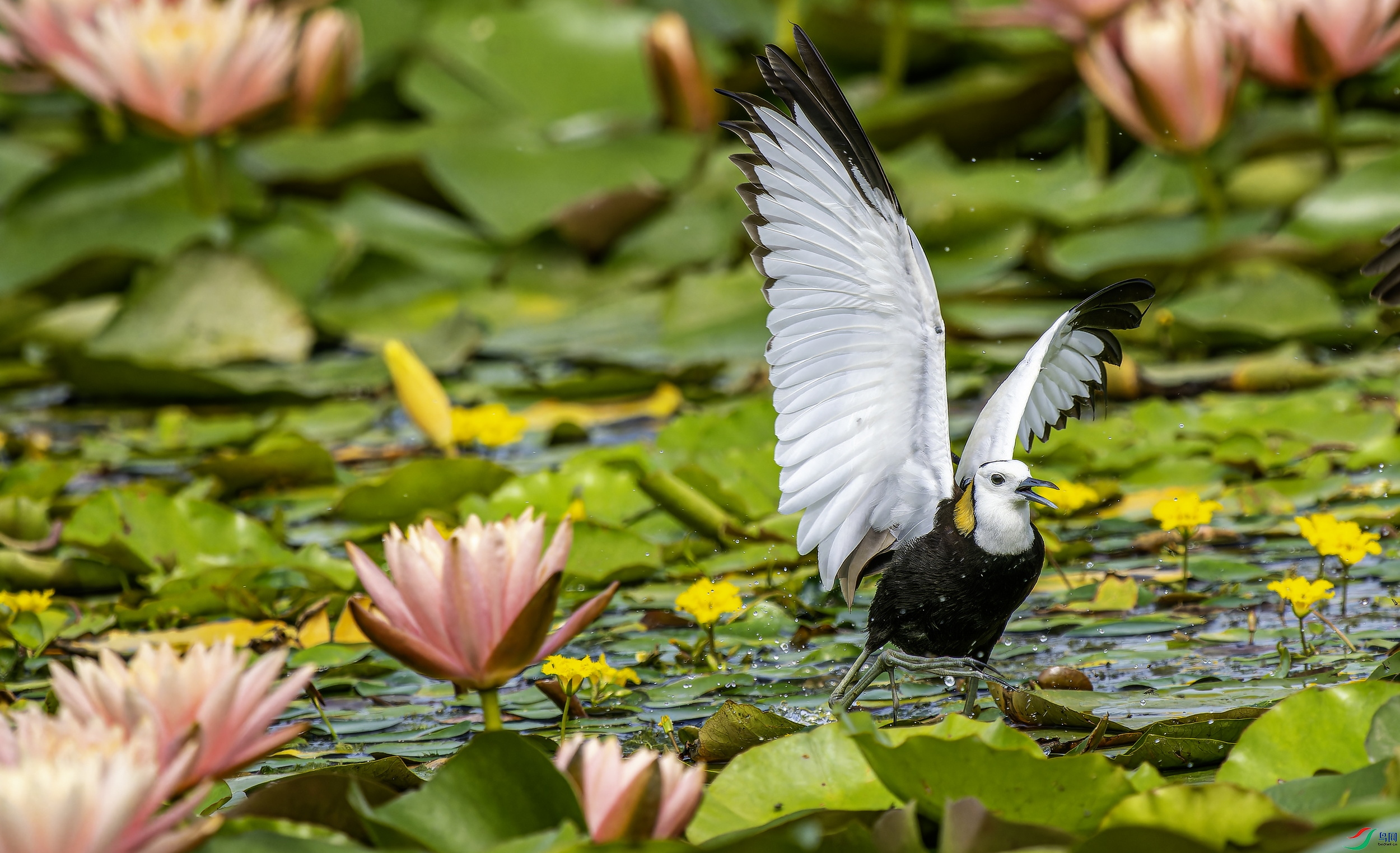 ˮ��-15 (17)-1.jpg