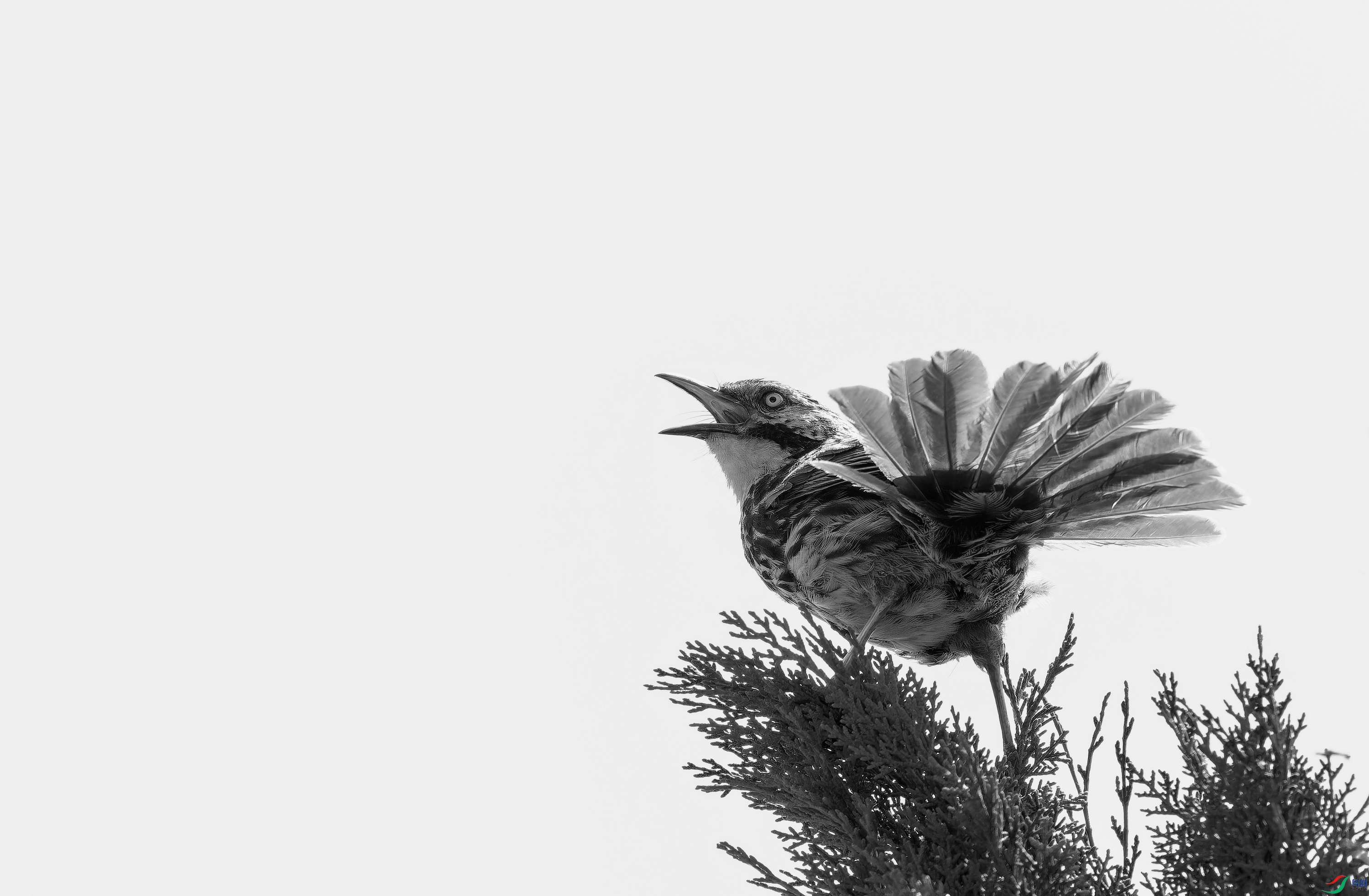 ì�Ʋ��� (13)-1.jpg