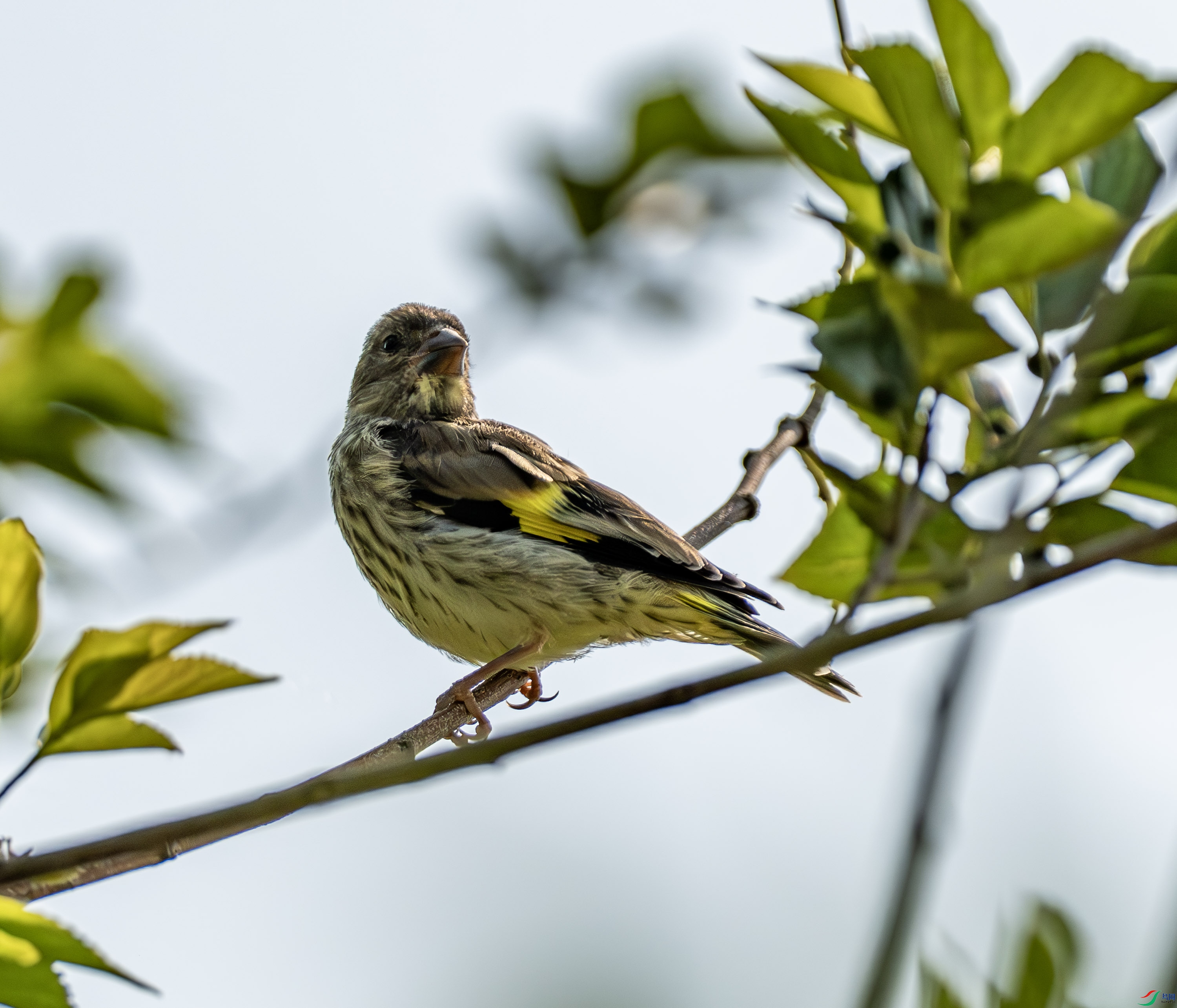 ���ȸ-3 (2).jpg