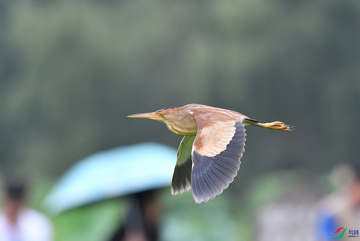 DSC_0139.JPG