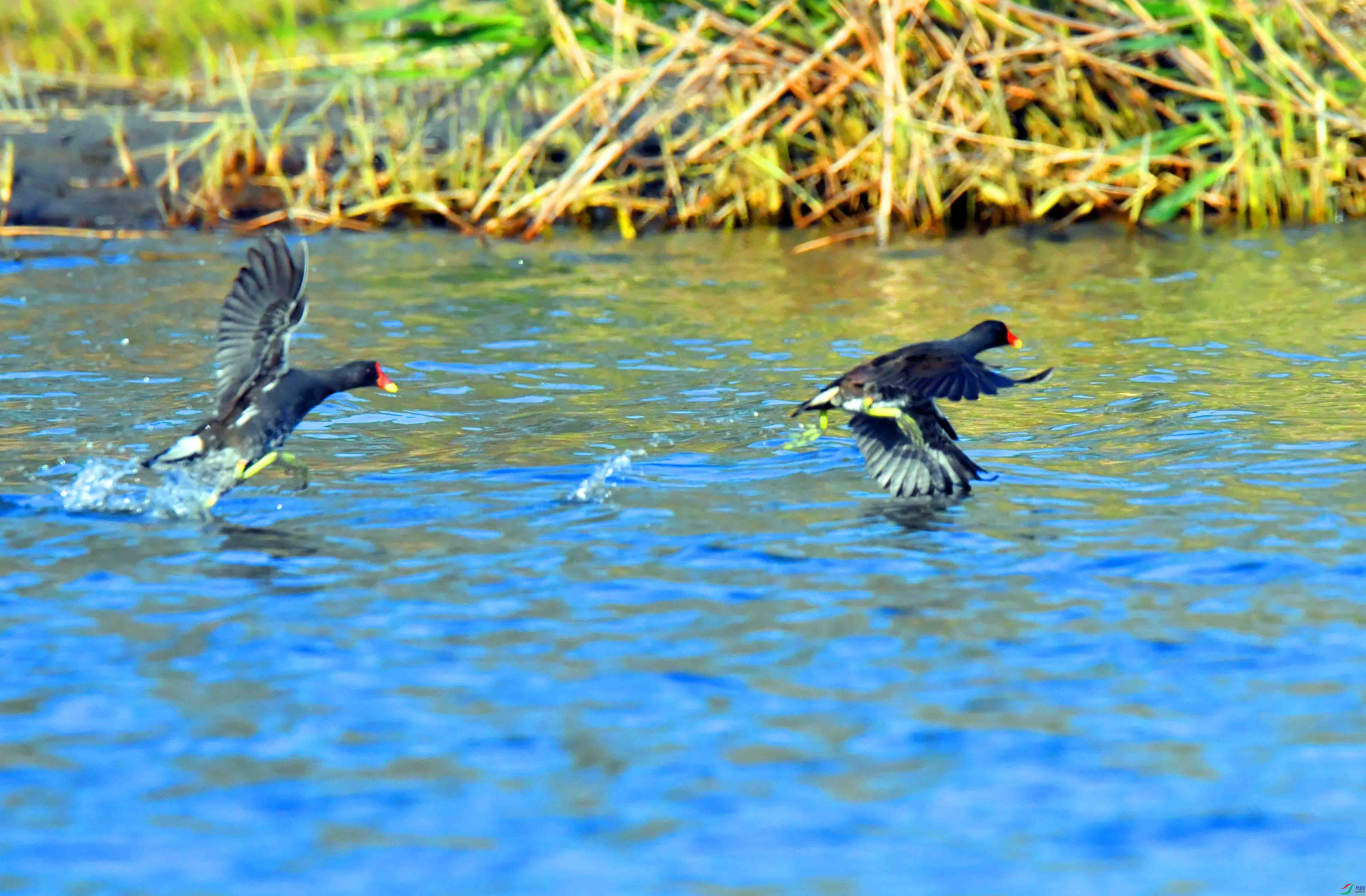 DSC_2398.JPG