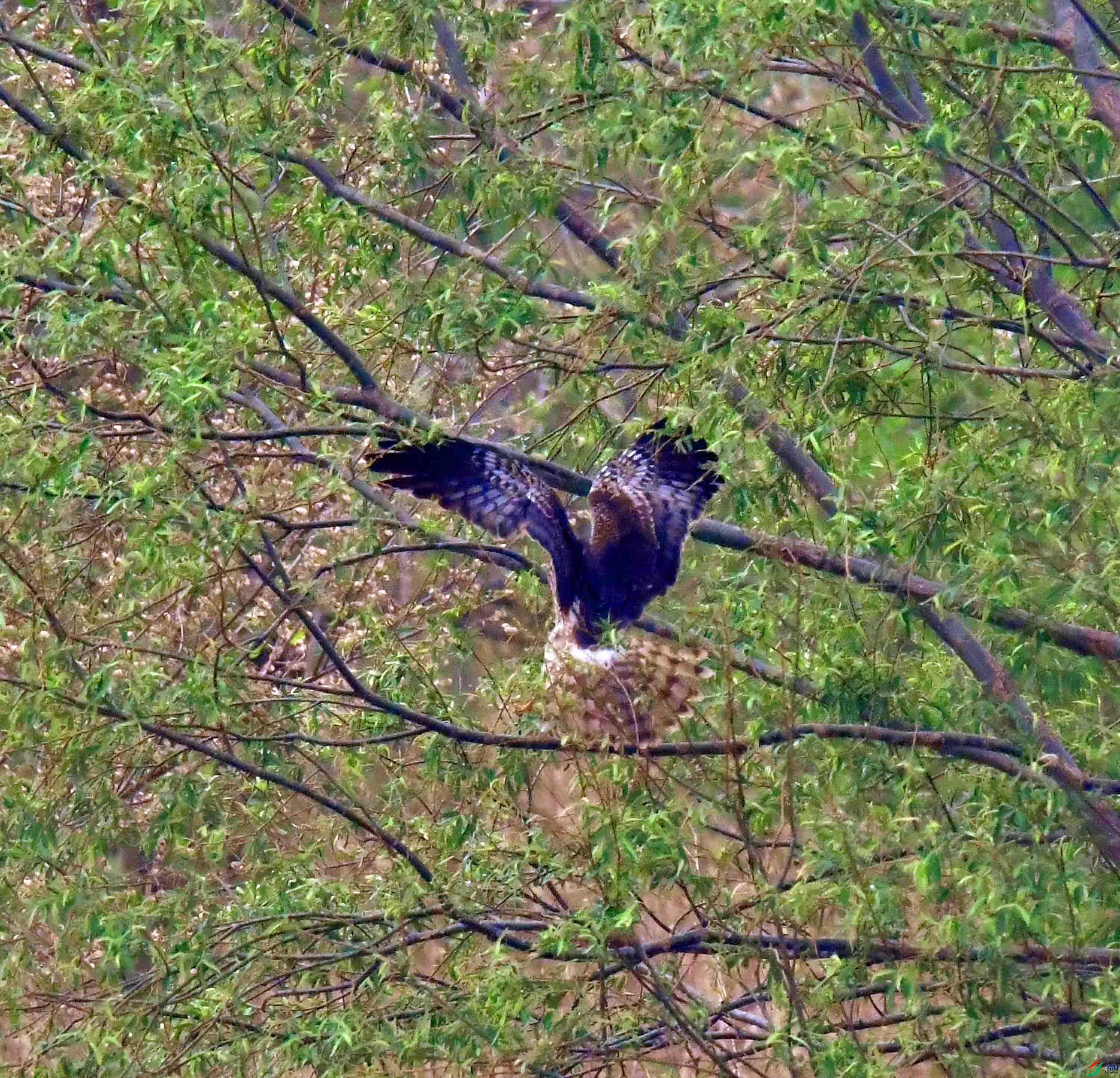 DSC_3638.JPG