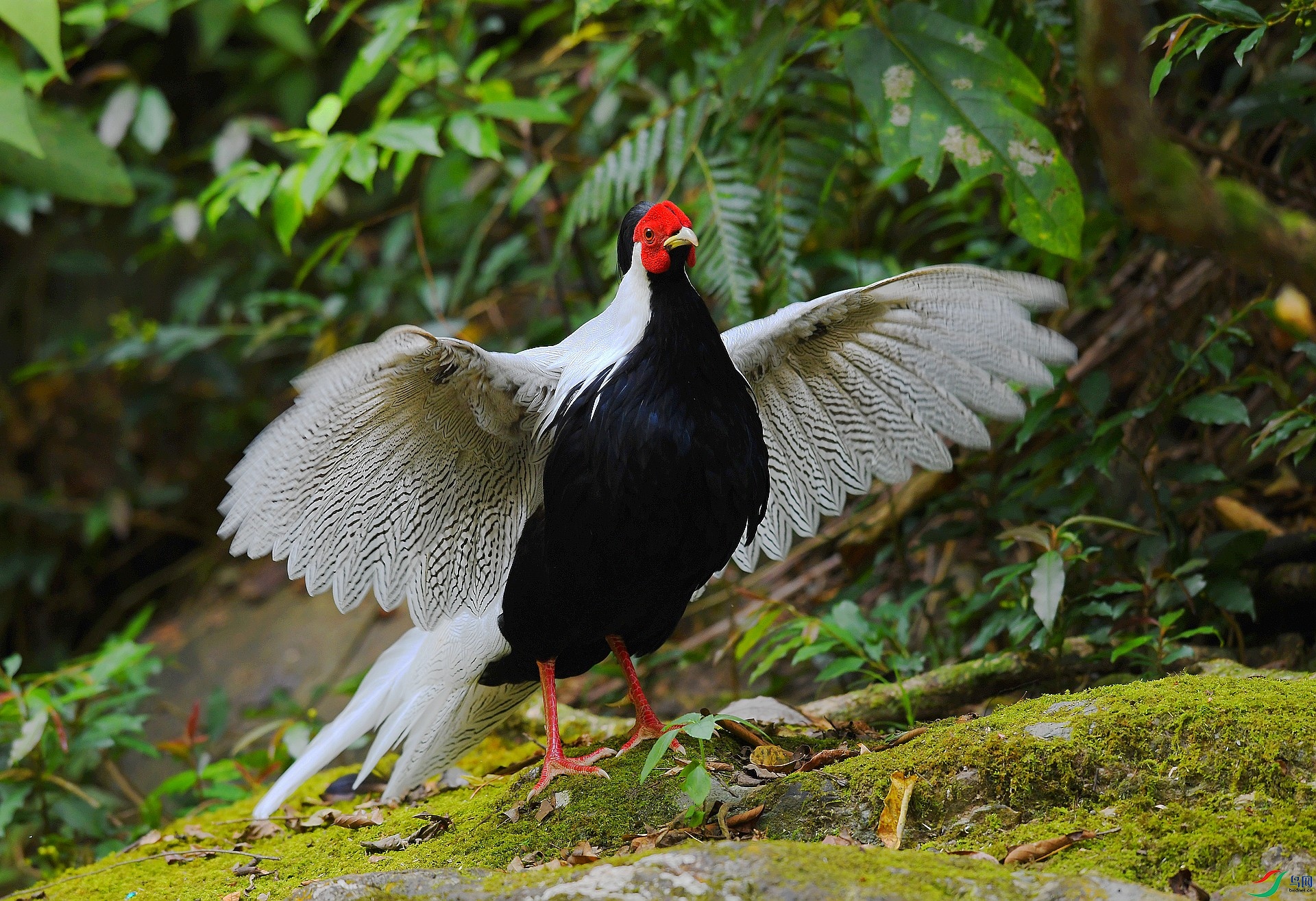 DSC_8483.jpg