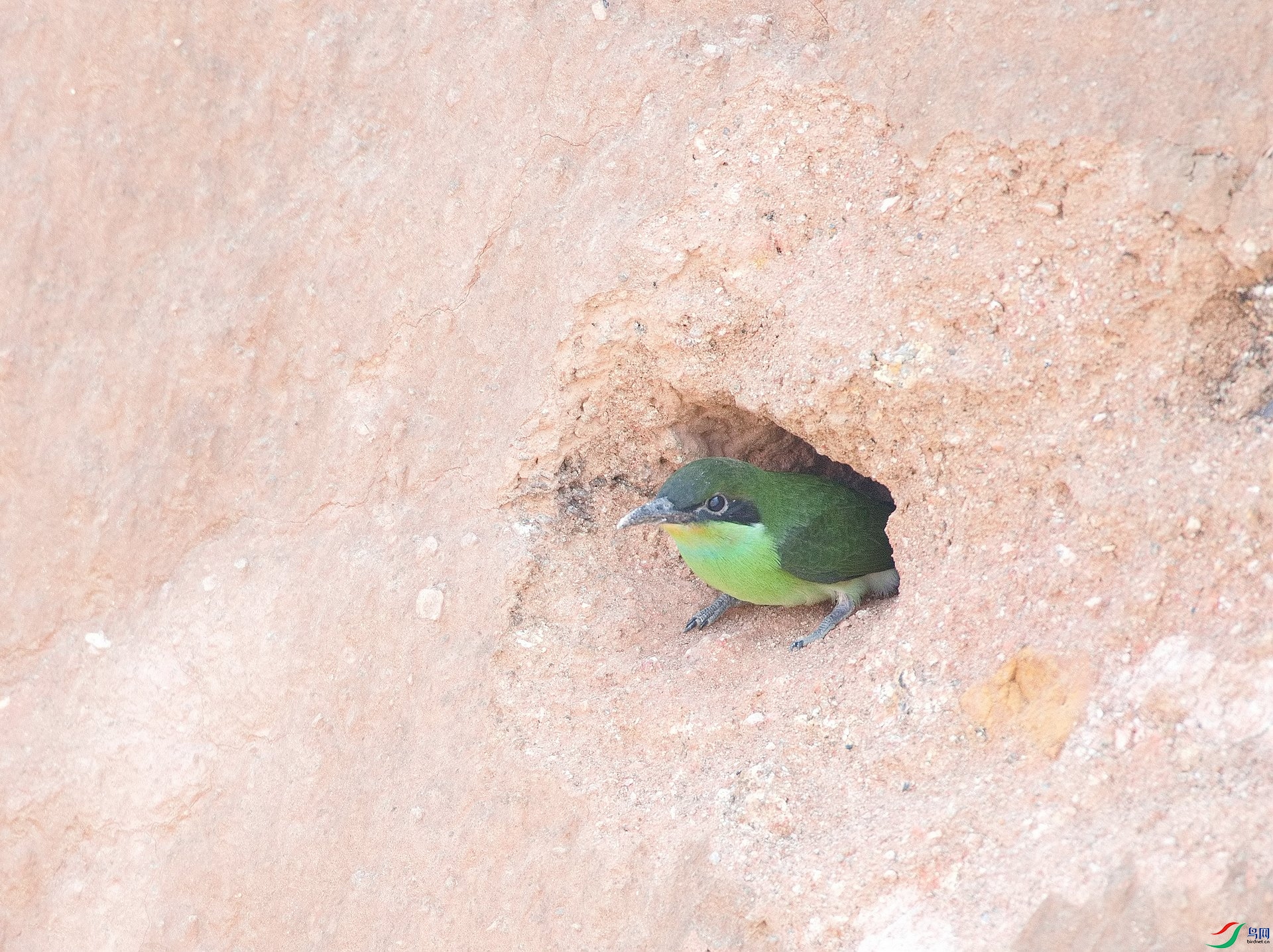 DSC_8648.jpg