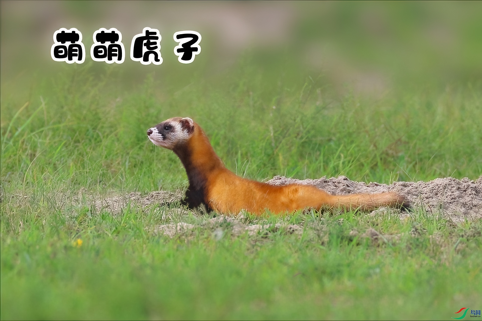 ���Ȼ���-���� ����.jpg