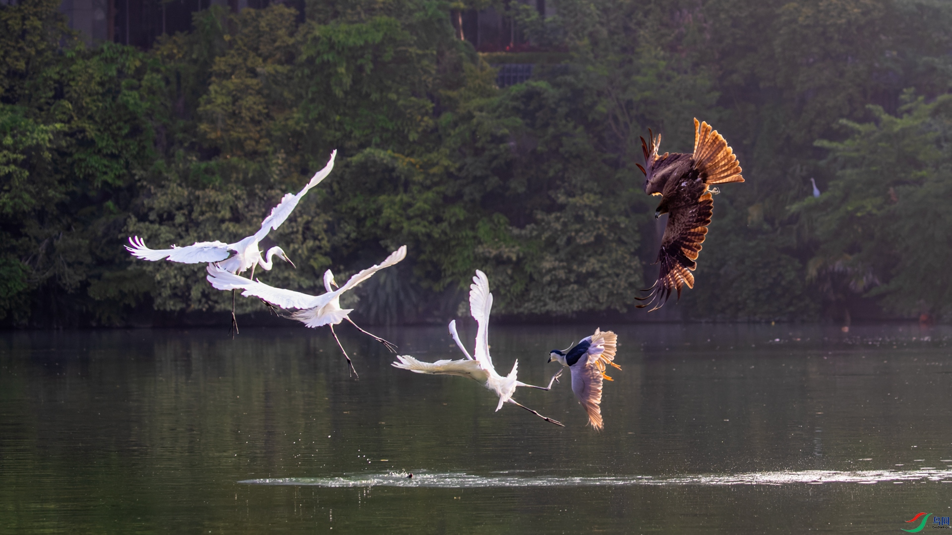 _R2I0007-CR2_DxO_DeepPRIME.jpg