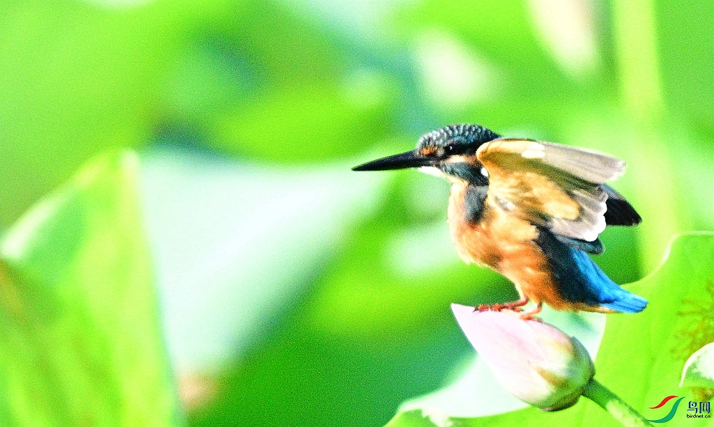 DSC_2212.JPG