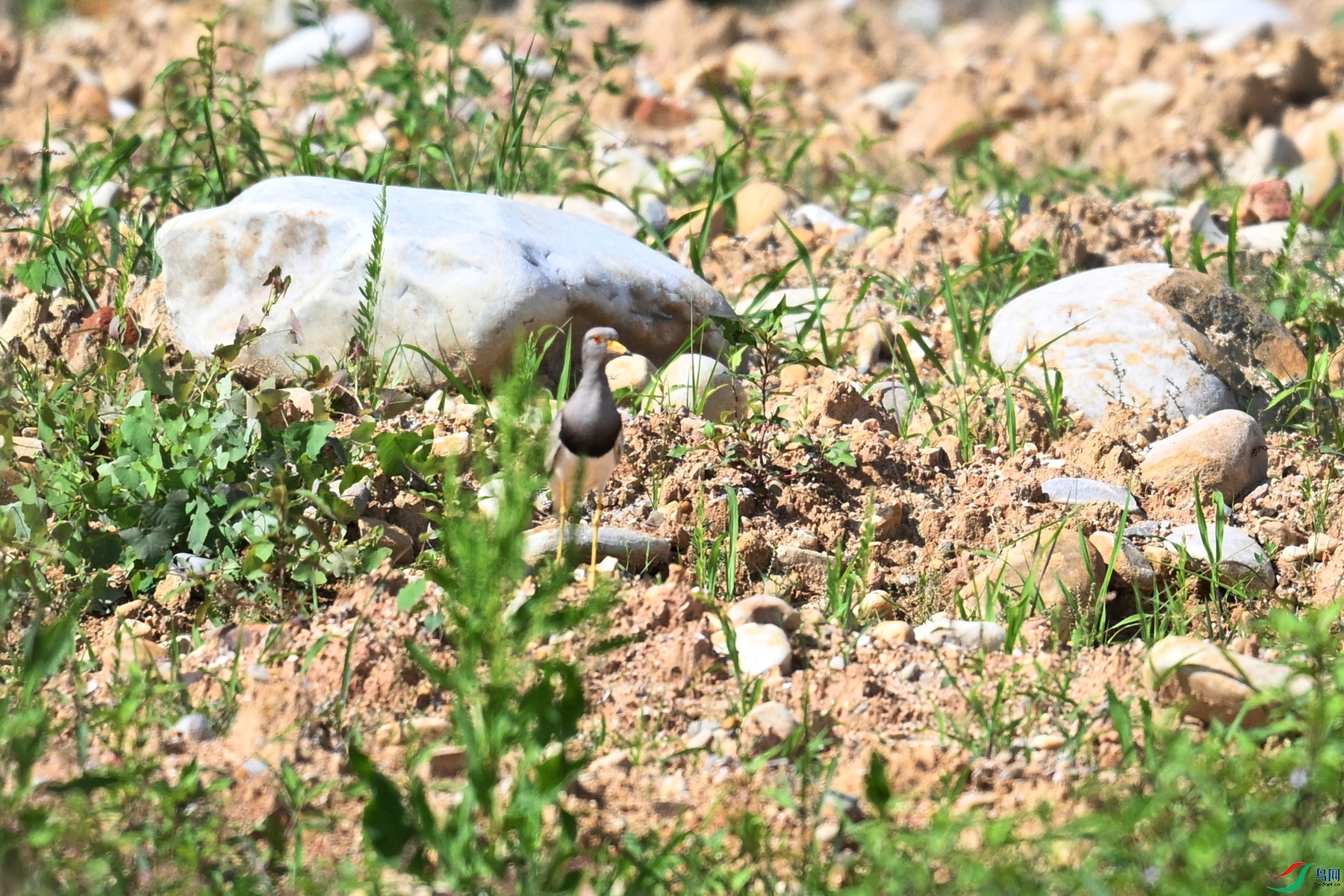 DSC_5312.JPG