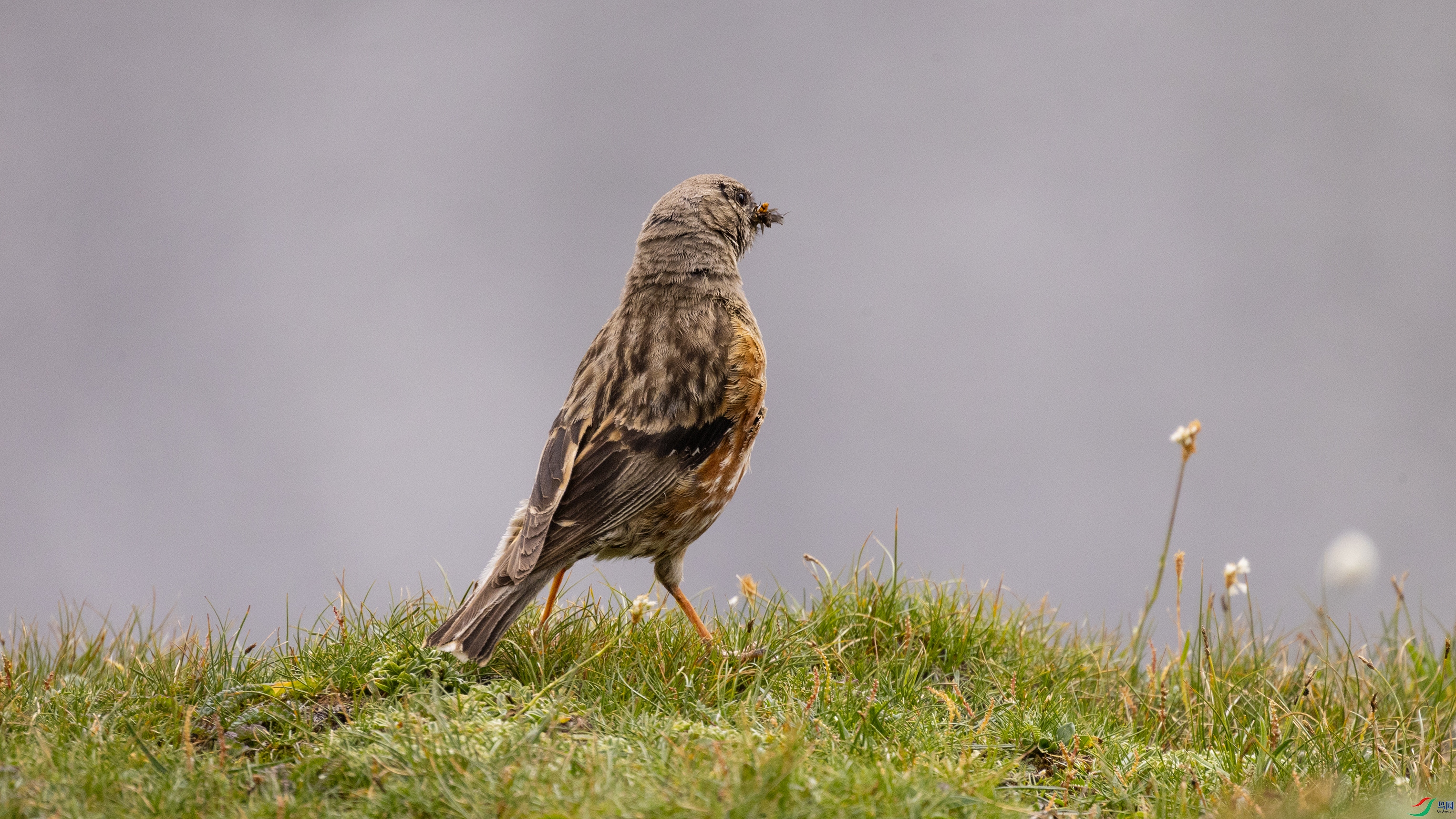 7X5A7931 ����4444.jpg