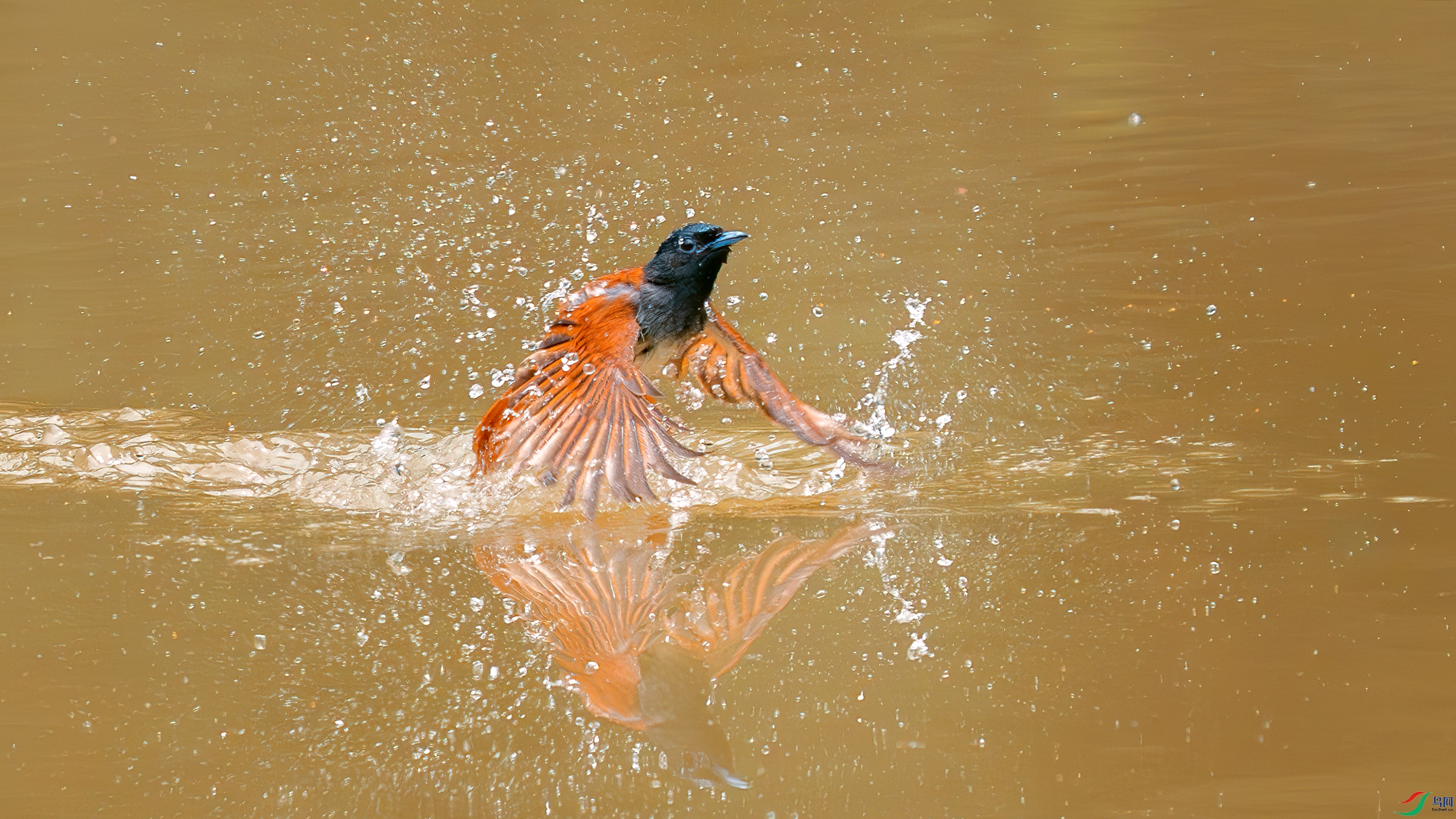 _DSC5571 ����.jpg