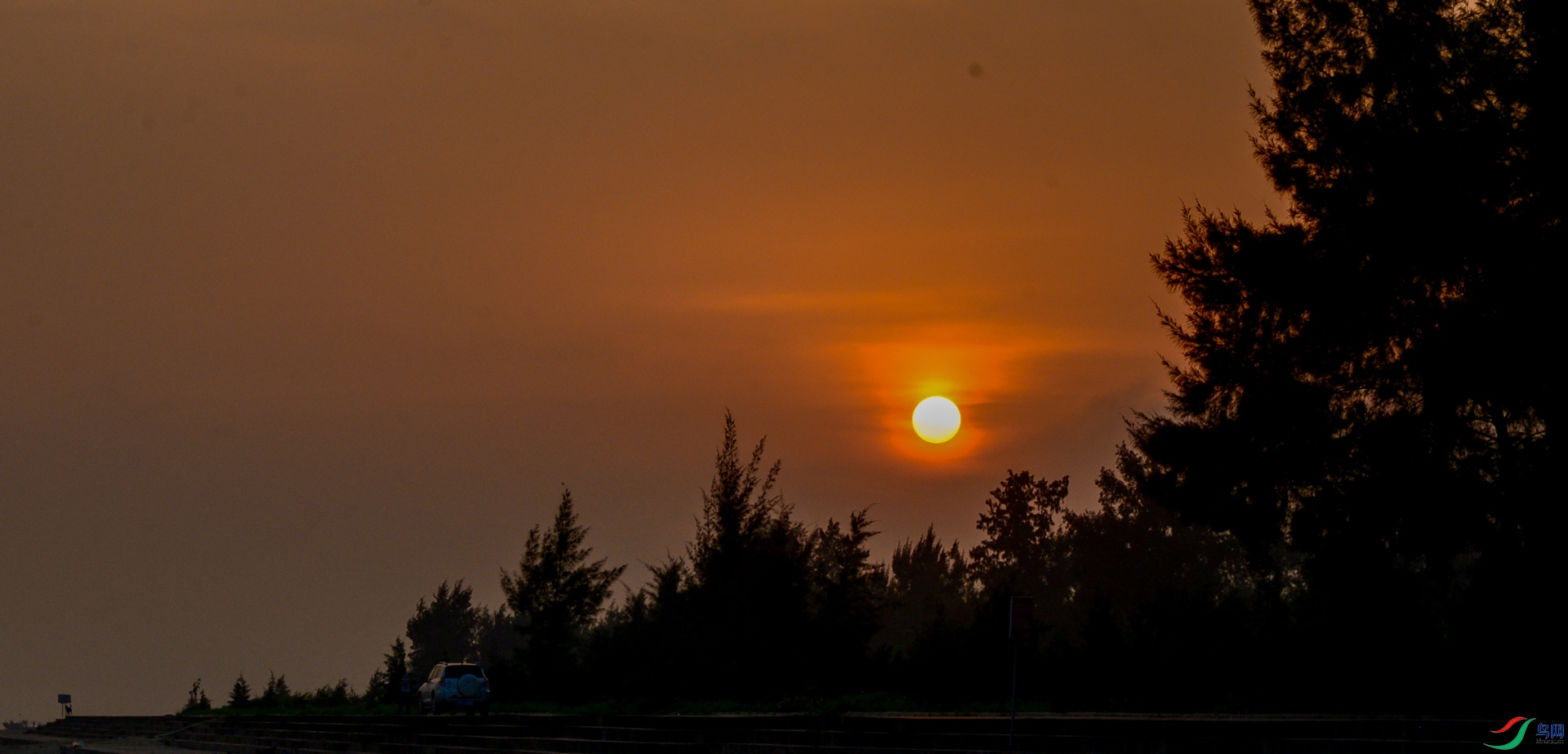 DSC_0274.jpg