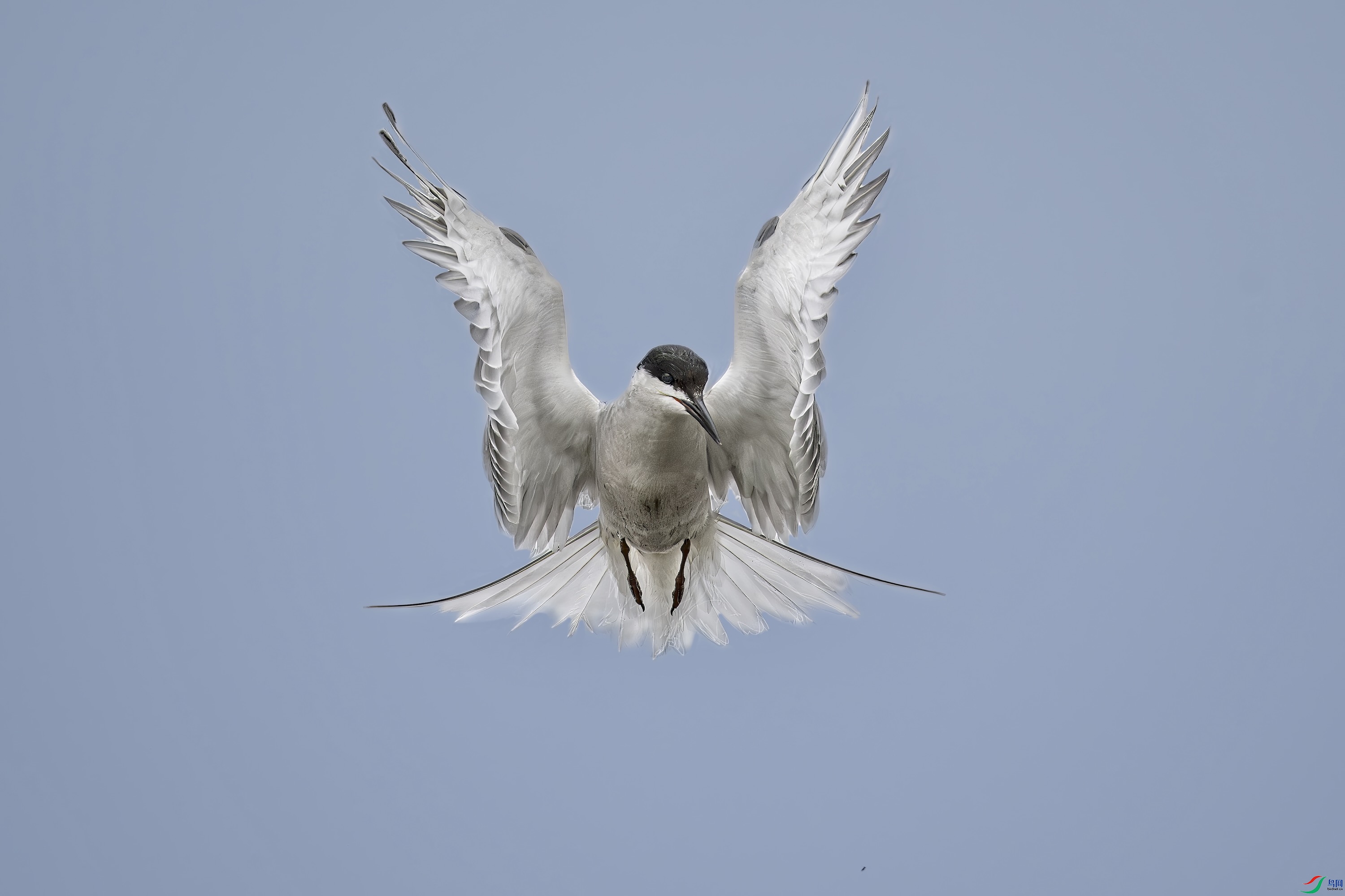 DSC_0352 ����.jpeg