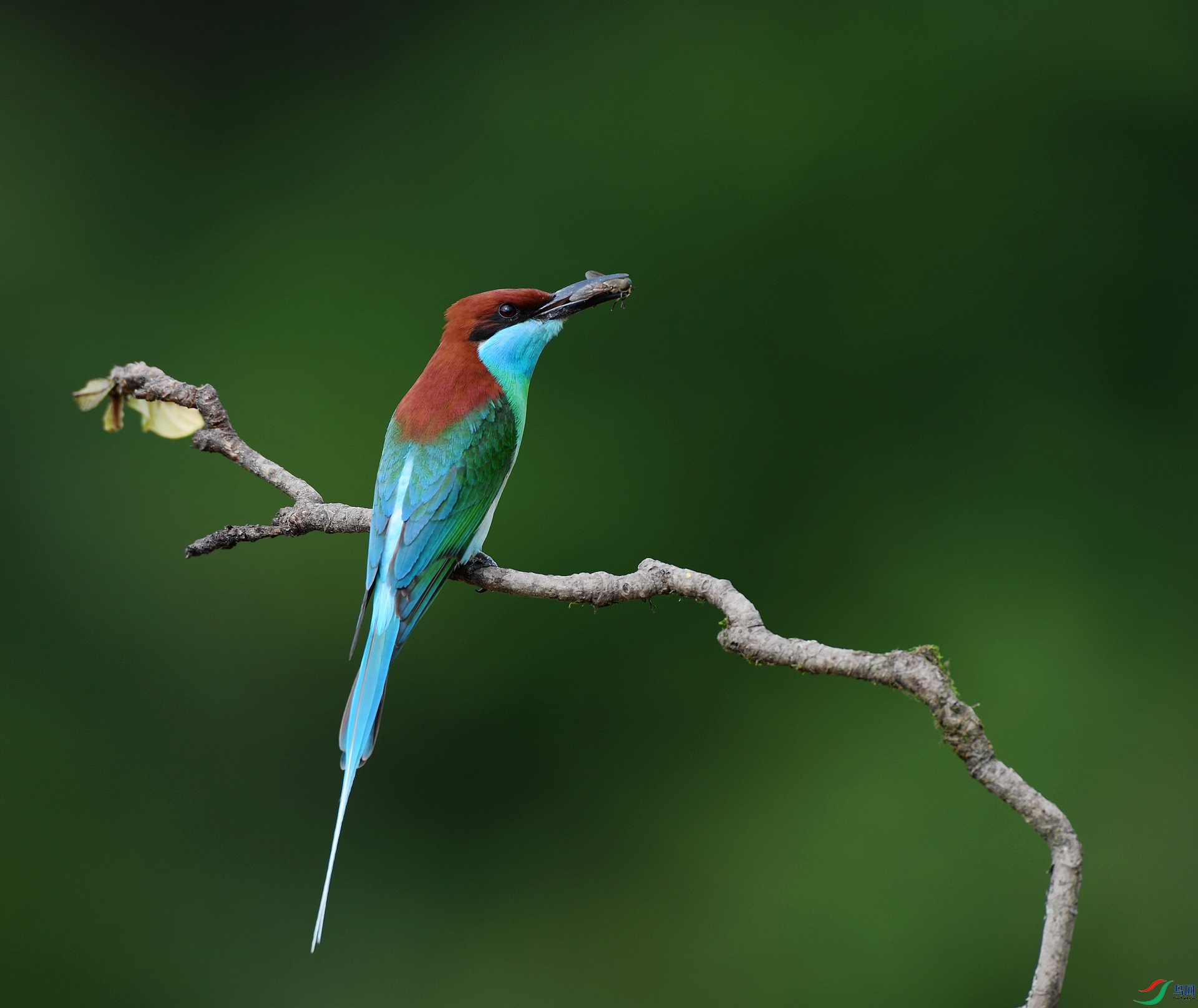 DSC_8891.jpg