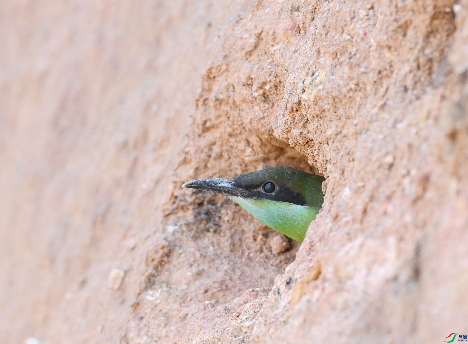 DSC_7743.jpg