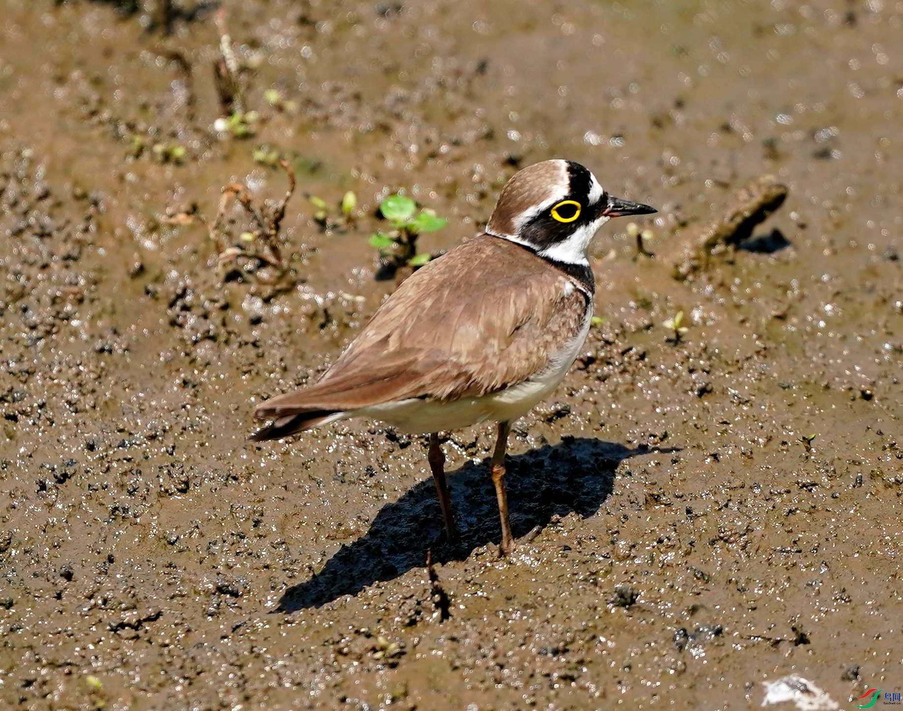 DSC05606.JPG