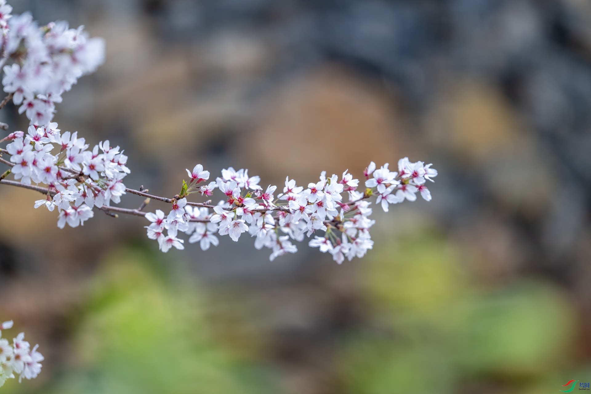 DSC_5581.jpg