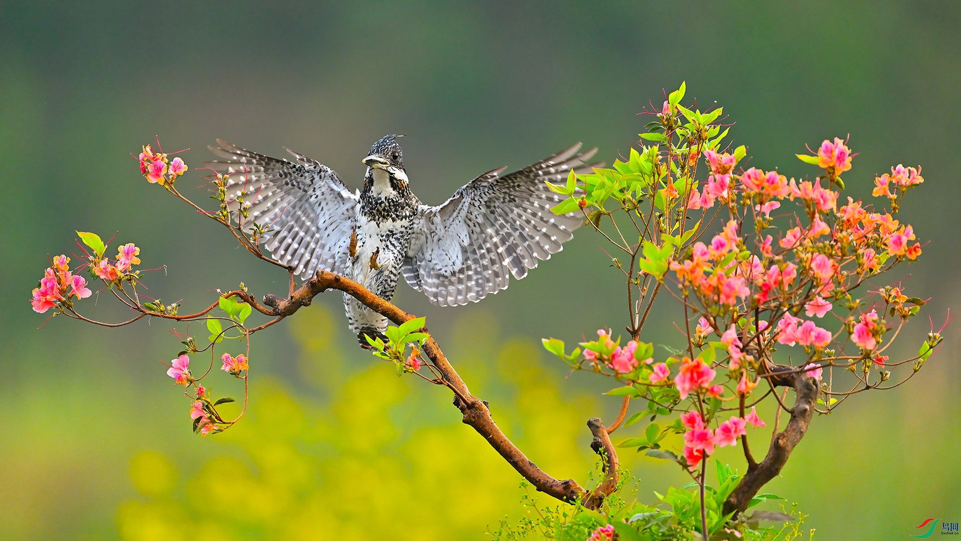 XHH_7383 ���� 2.jpg